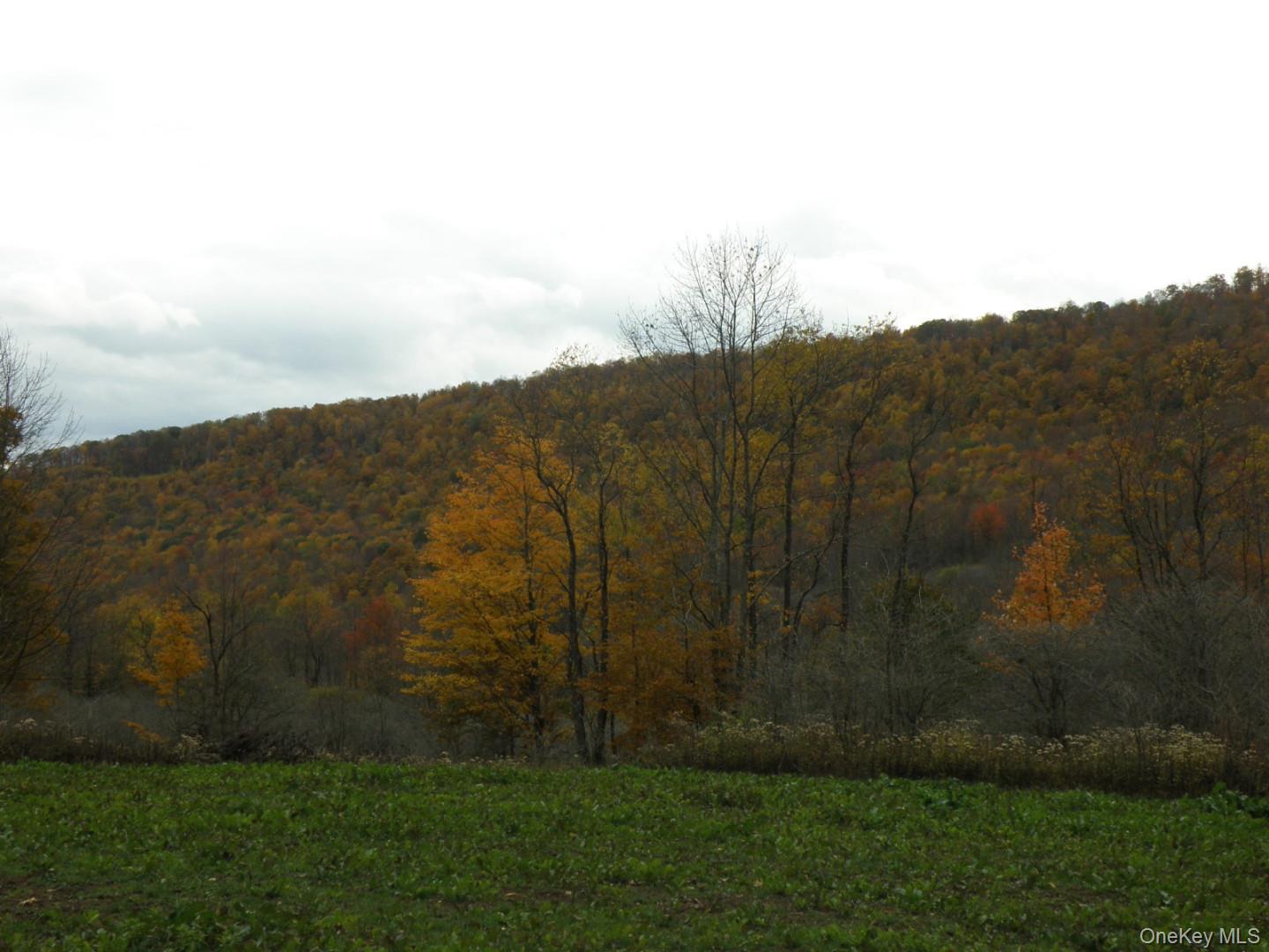 Gregory Hollow Road – For Sale photo 3