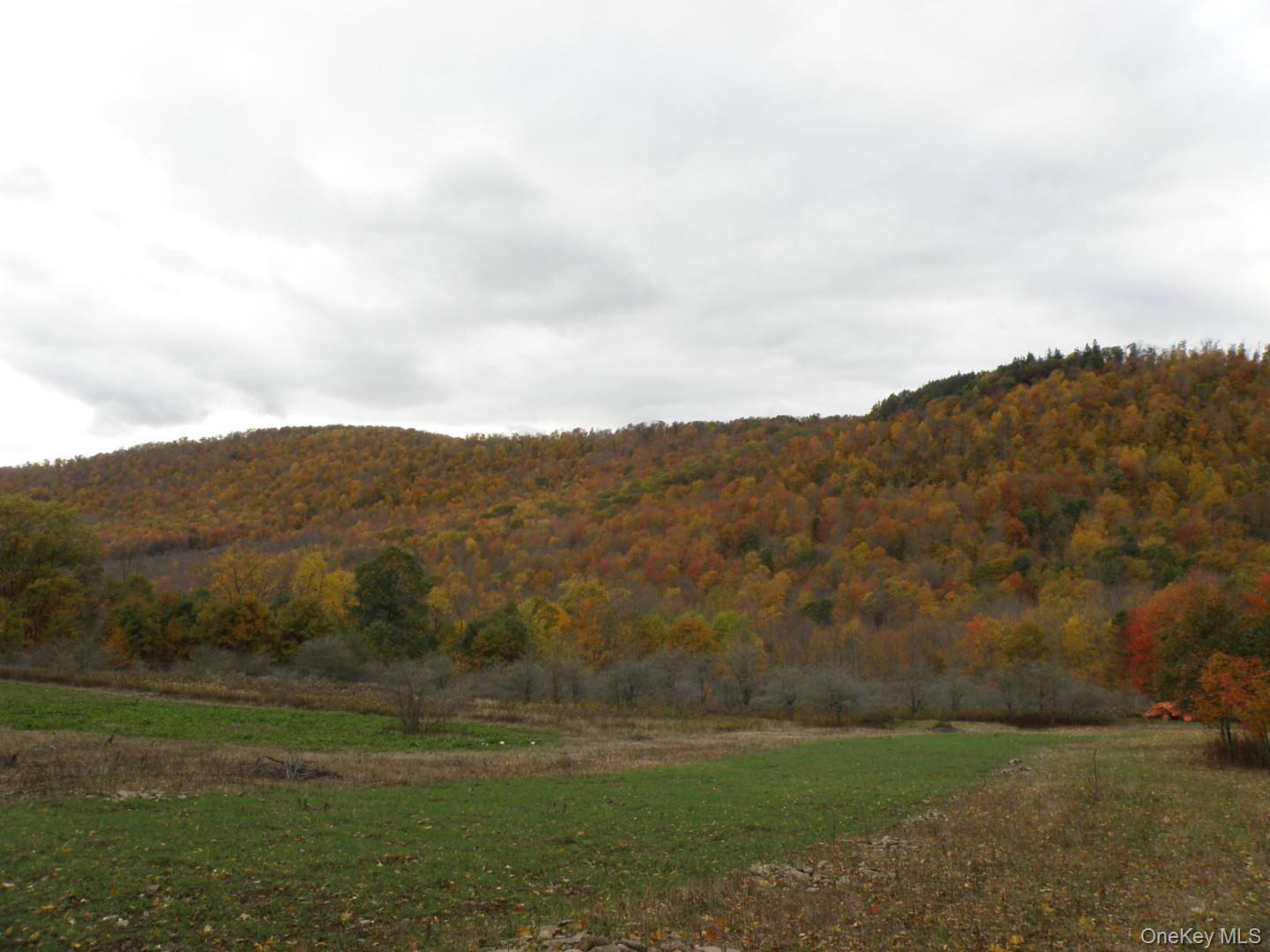 Gregory Hollow Road – For Sale