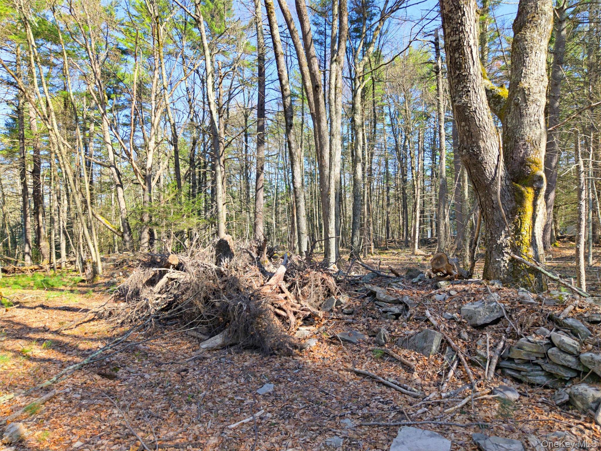 Crawford Road – For Sale photo 2