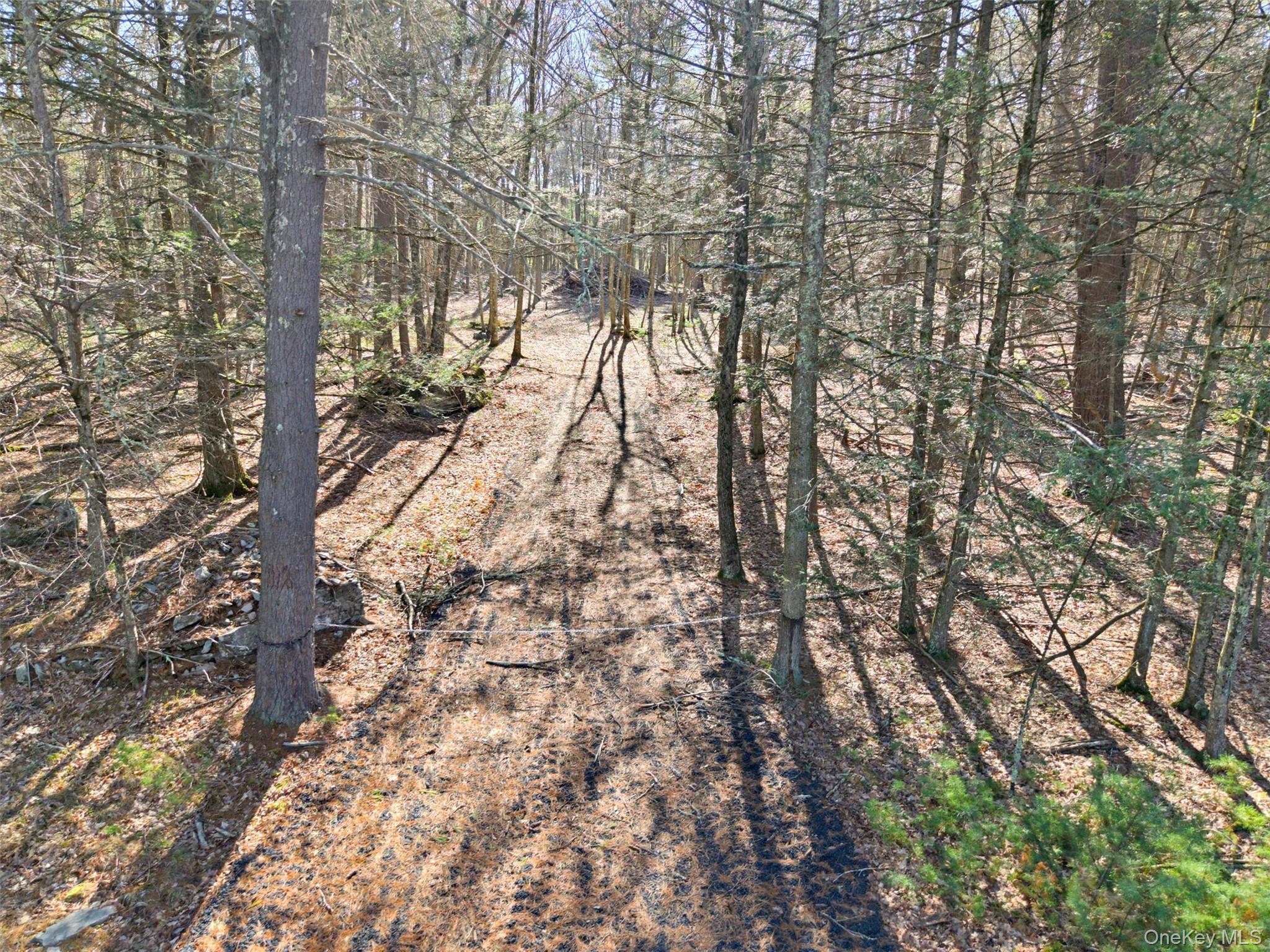 Crawford Road – For Sale photo 7