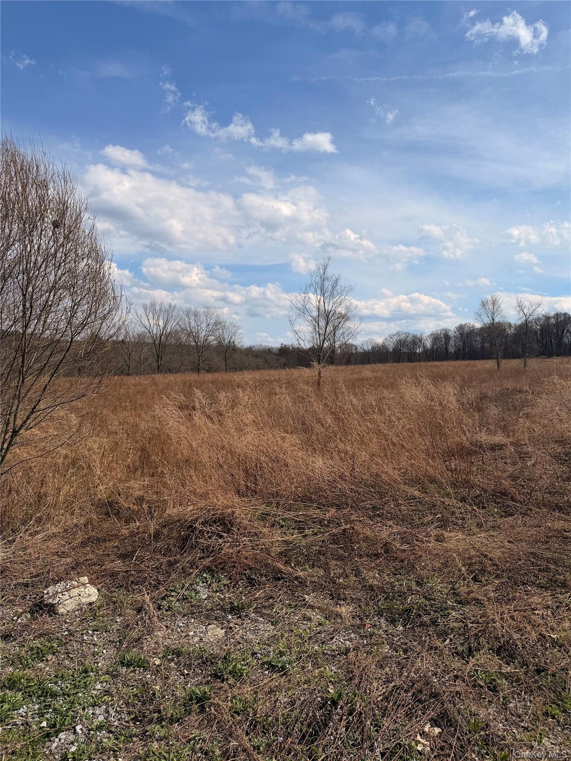 0 Route 55 – For Sale photo 3