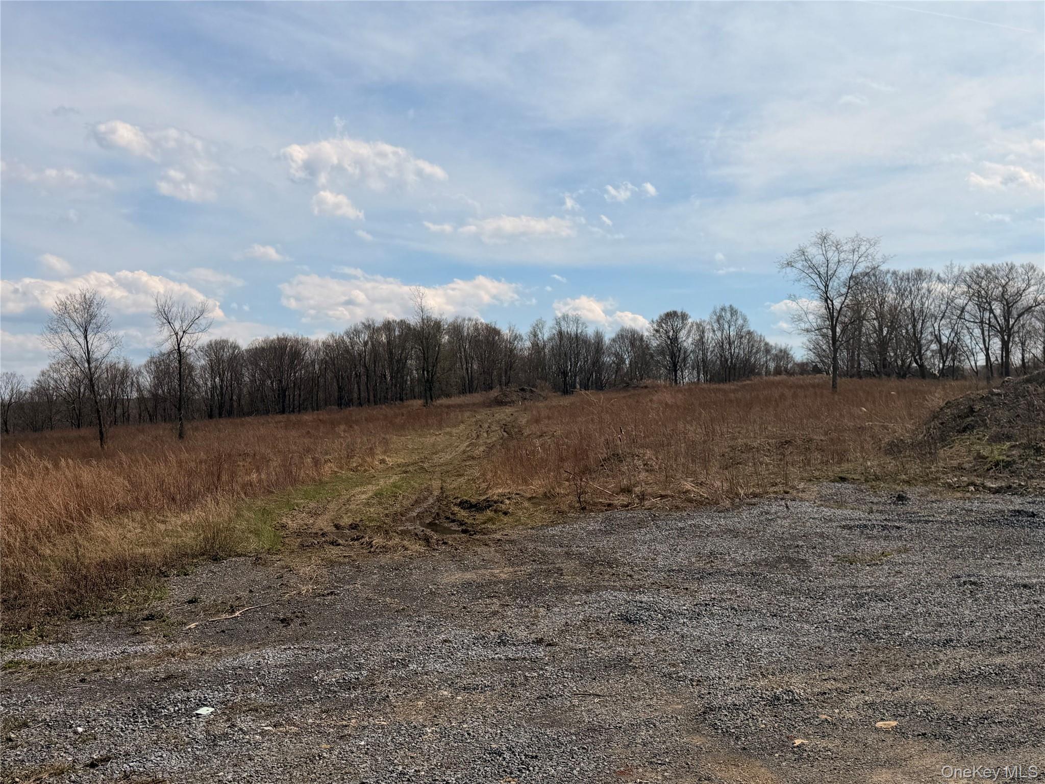 0 Route 55 – For Sale photo 2