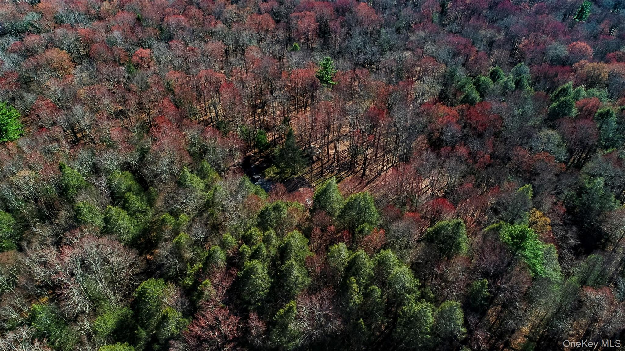Lot 2 Deer Meadow Road Nys Hwy 17B – For Sale photo 5