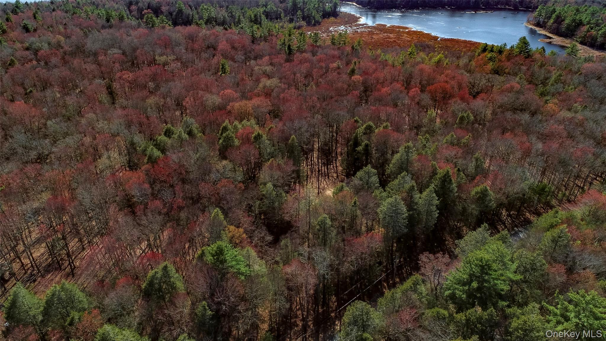 Lot 2 Deer Meadow Road Nys Hwy 17B – For Sale photo 2