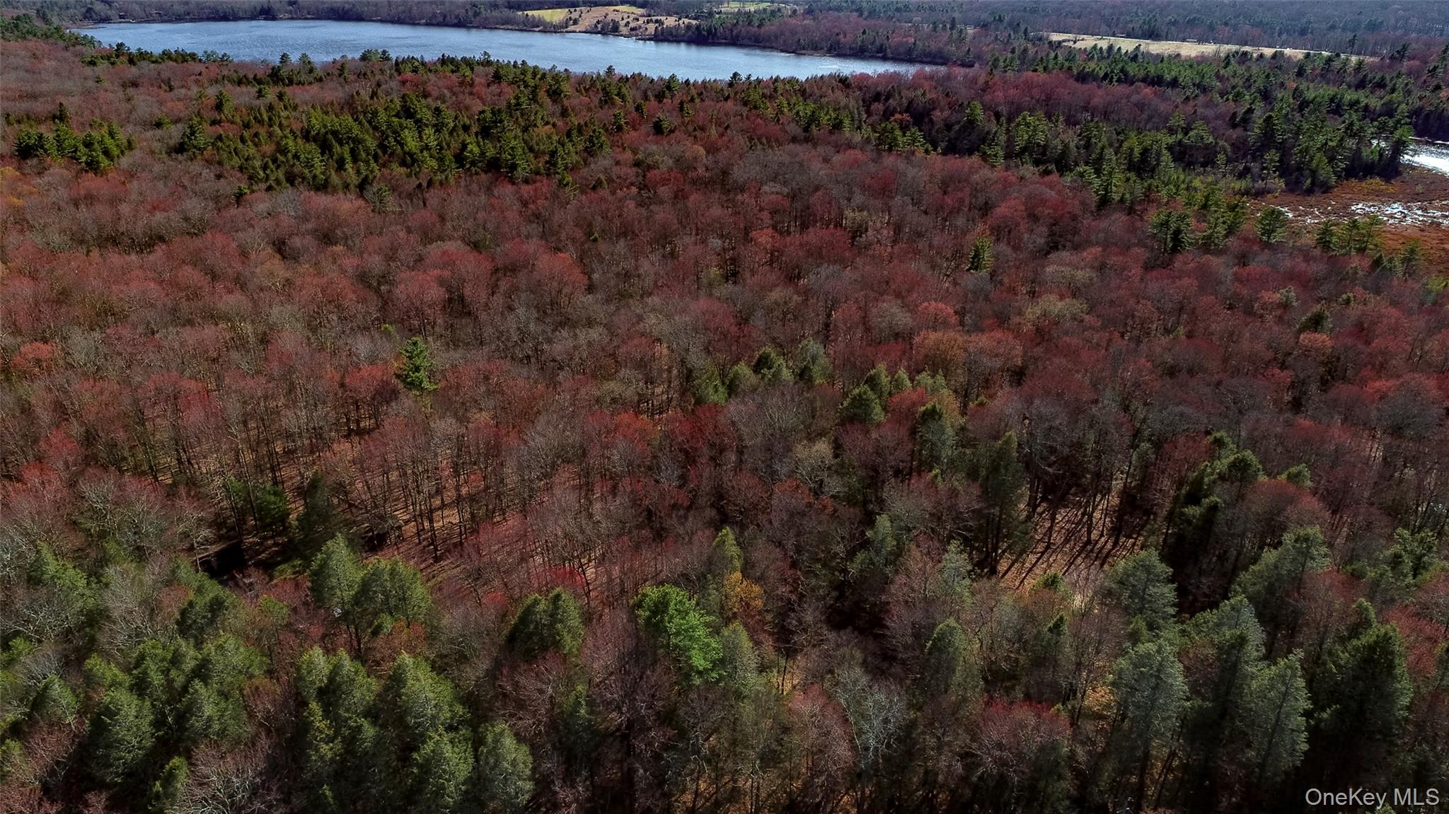 Lot 2 Deer Meadow Road Nys Hwy 17B – For Sale photo 7