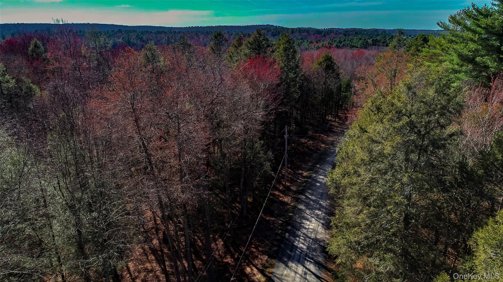 Lot 2 Deer Meadow Road Nys Hwy 17B – For Sale photo 8