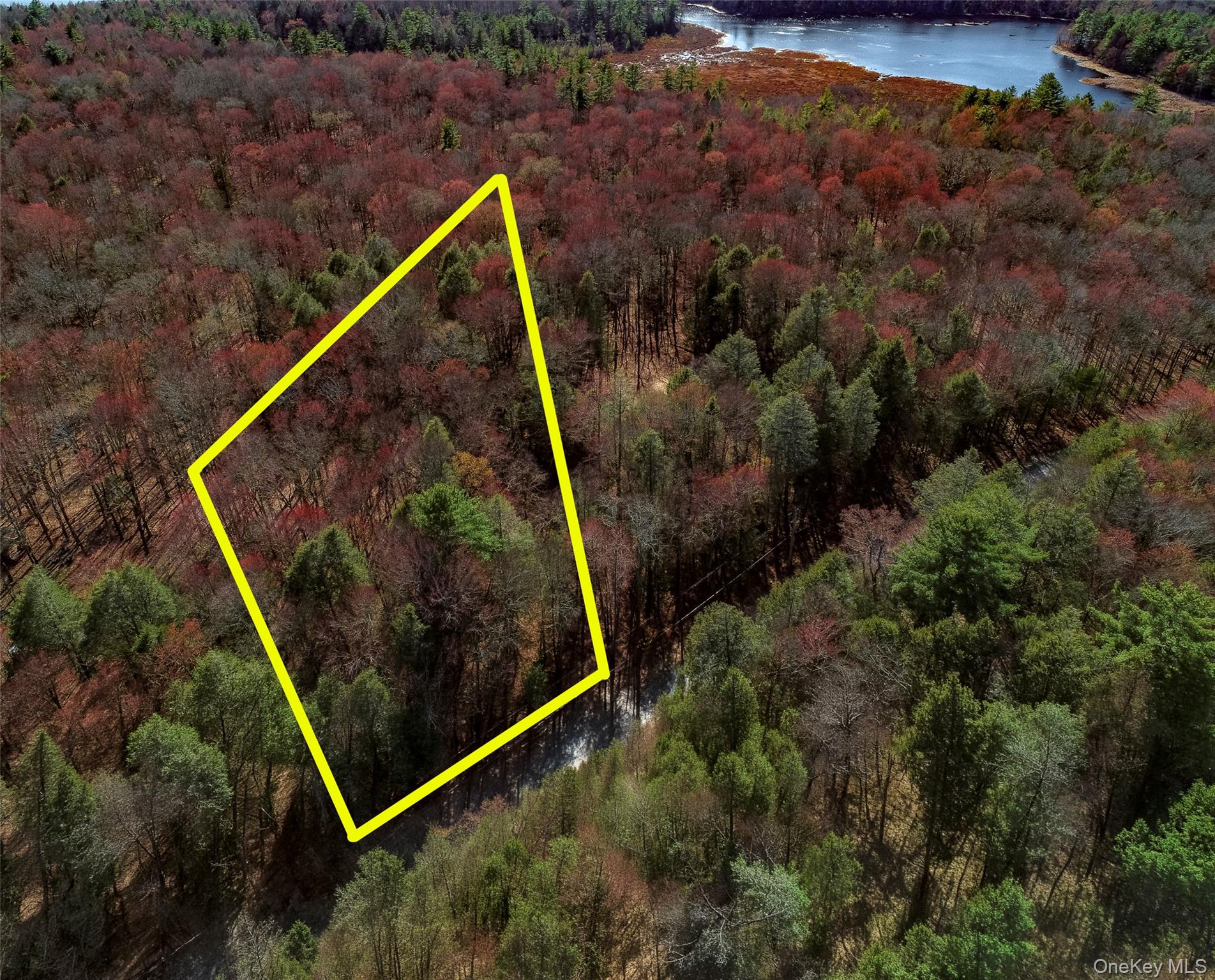Lot 2 Deer Meadow Road Nys Hwy 17B – For Sale