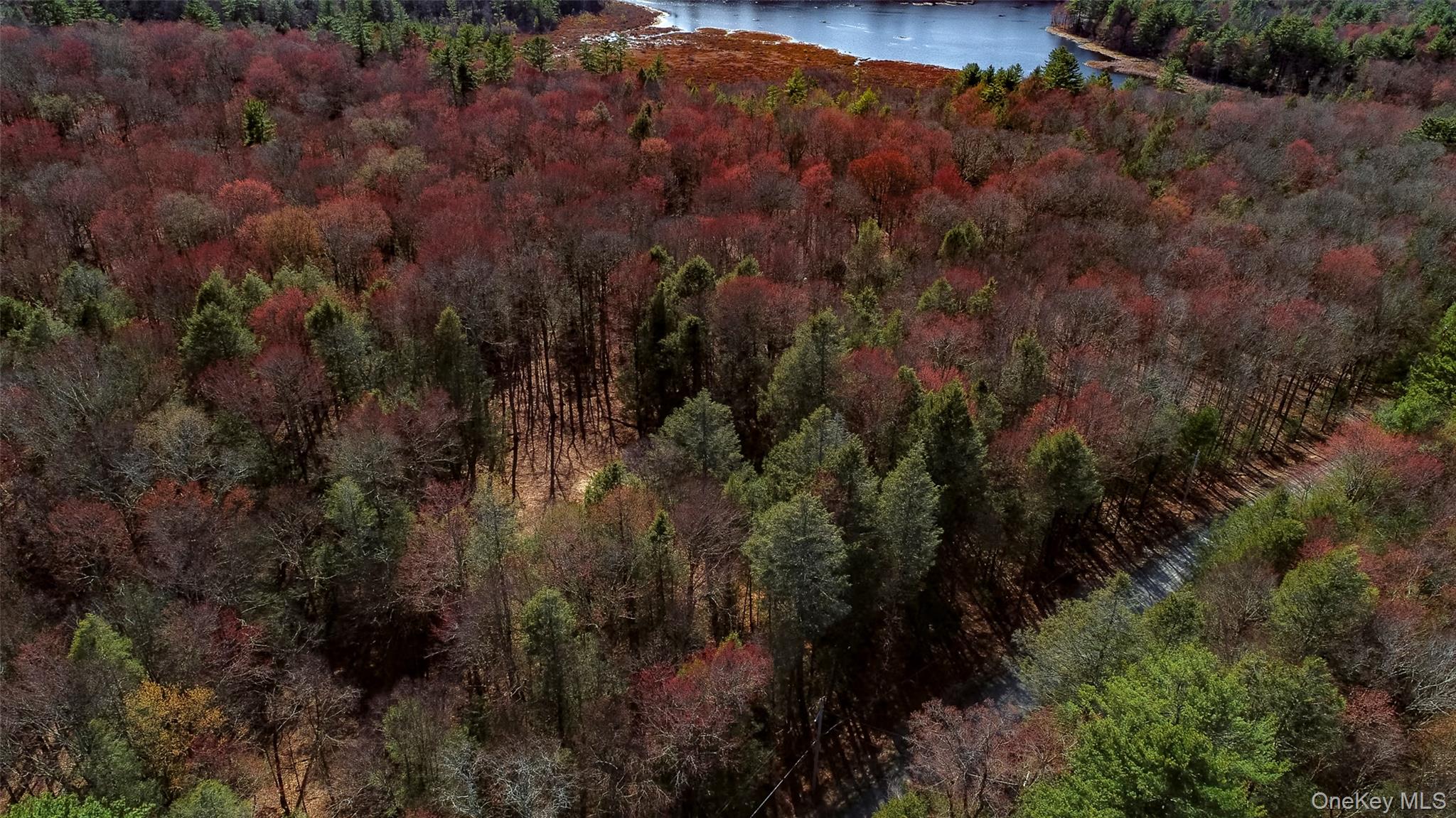 Lot 2 Deer Meadow Road Nys Hwy 17B – For Sale photo 3