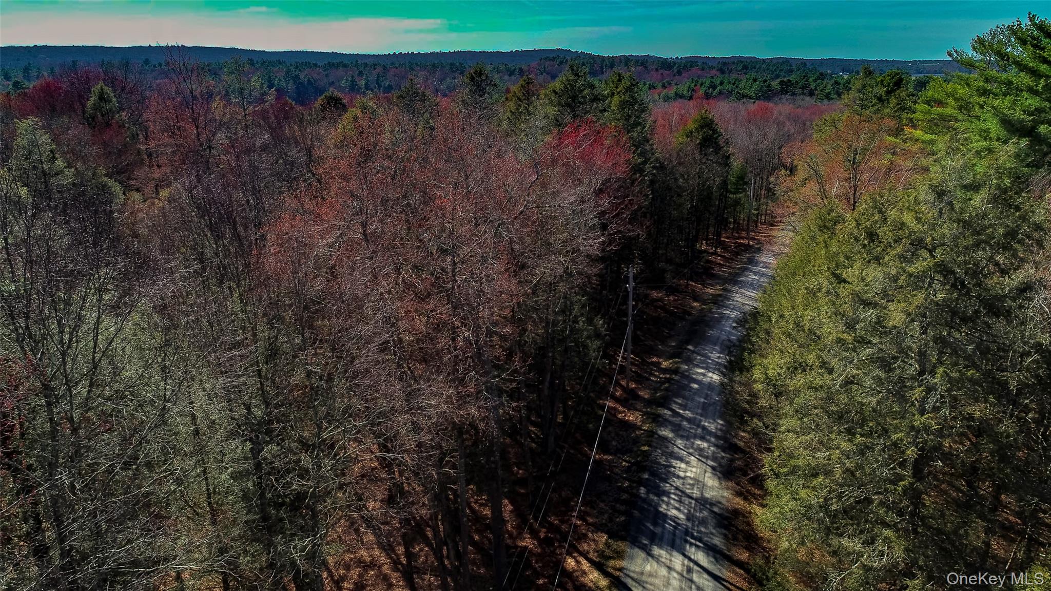 Lot 2 Deer Meadow Road Nys Hwy 17B – For Sale photo 9