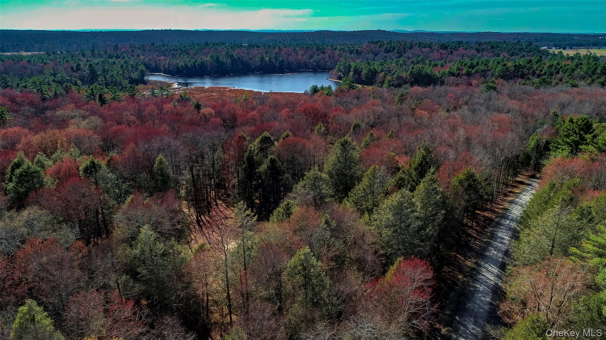 Lot 2 Deer Meadow Road Nys Hwy 17B – For Sale photo 10