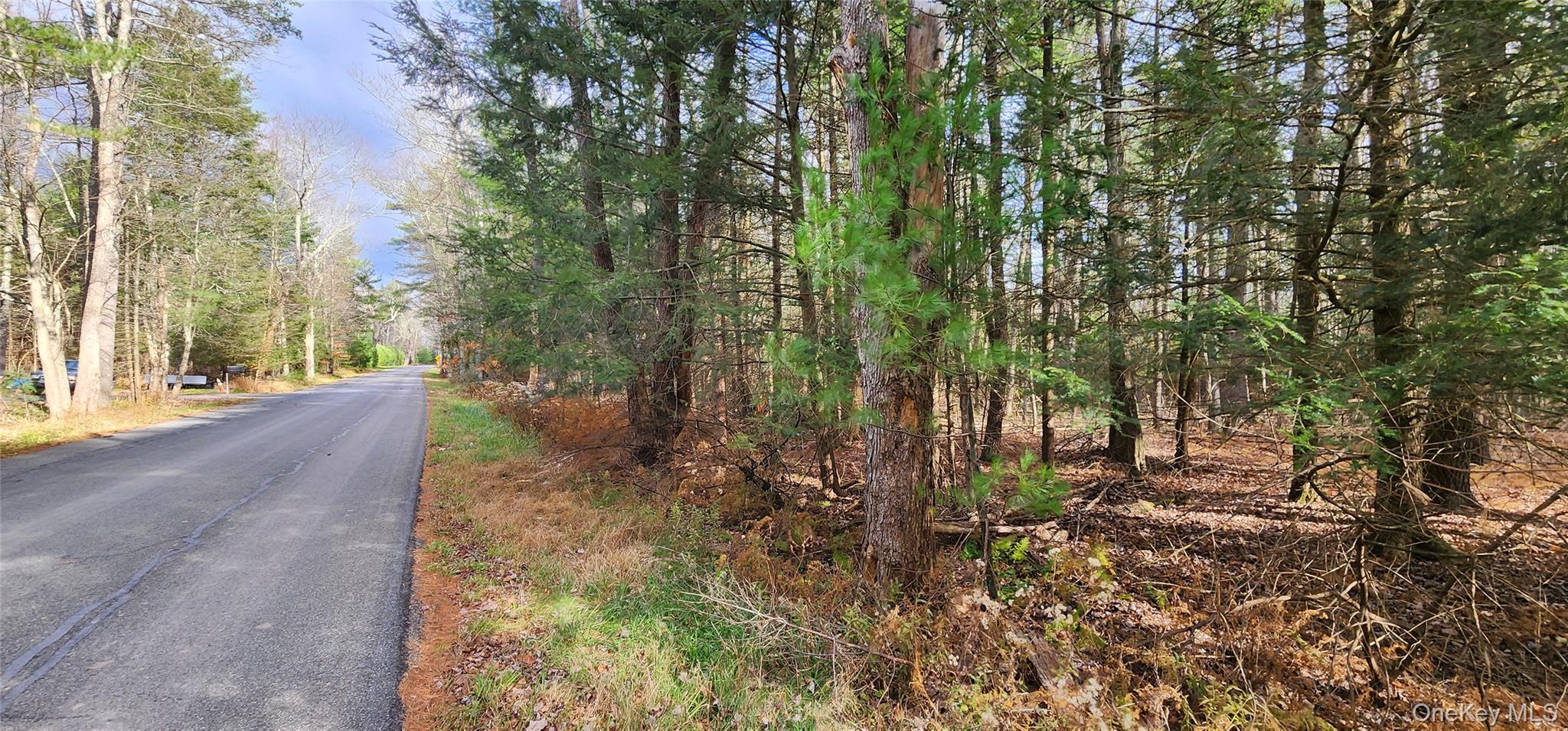 00 Mongaup Road – For Sale