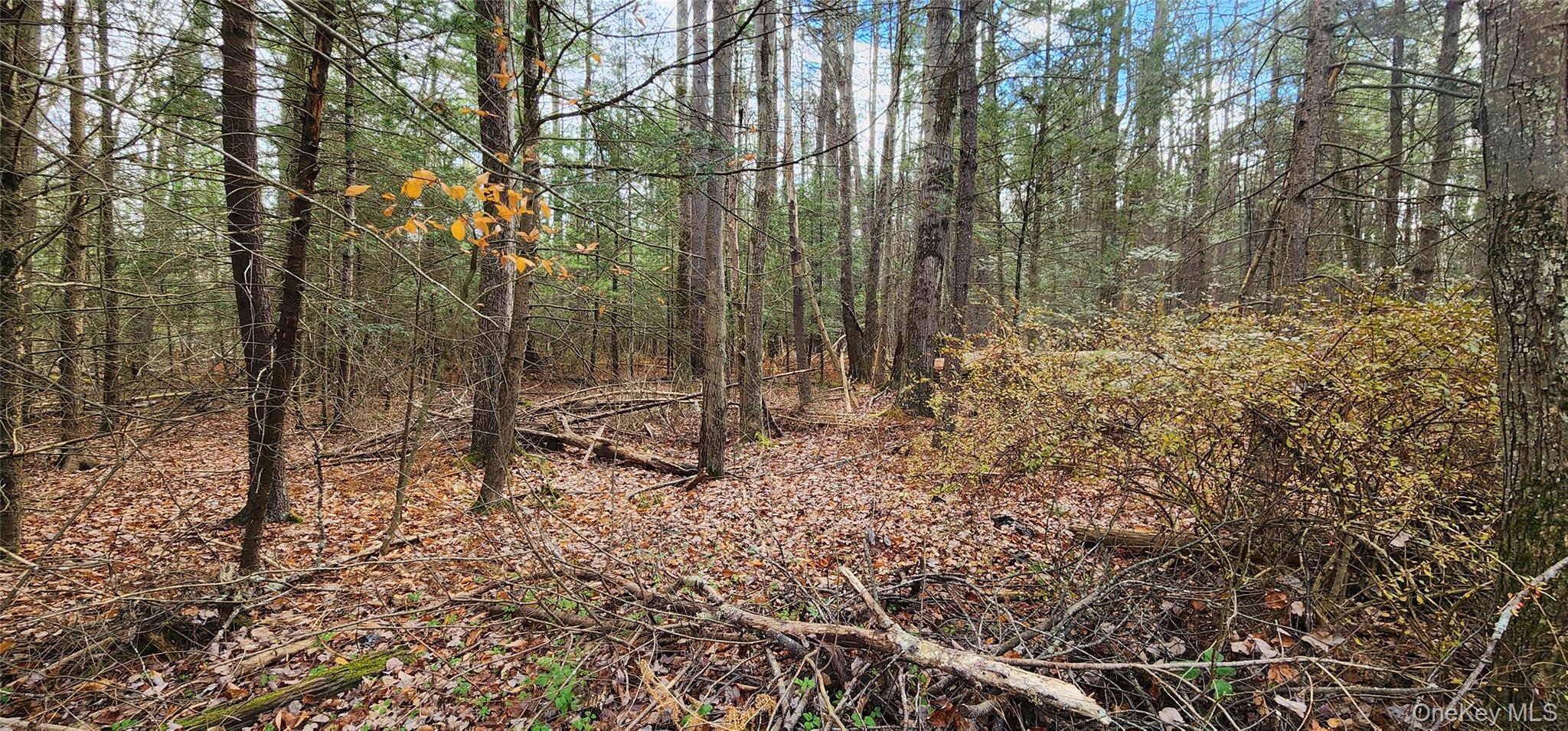 00 Mongaup Road – For Sale photo 3
