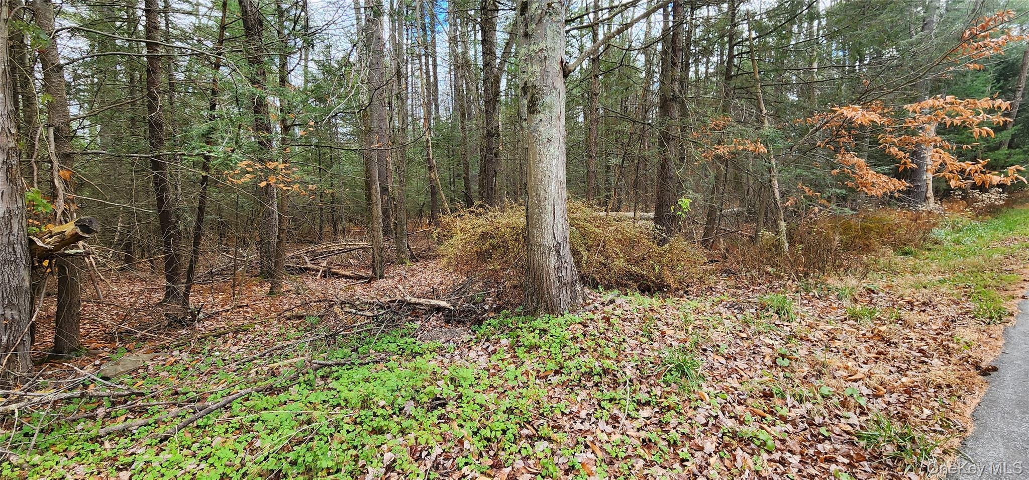 00 Mongaup Road – For Sale photo 6