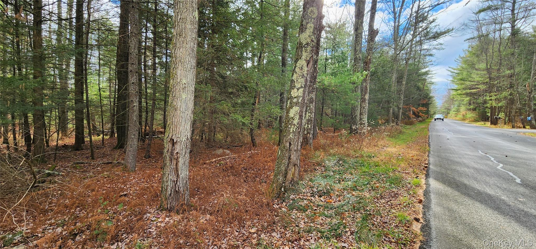 00 Mongaup Road – For Sale photo 4