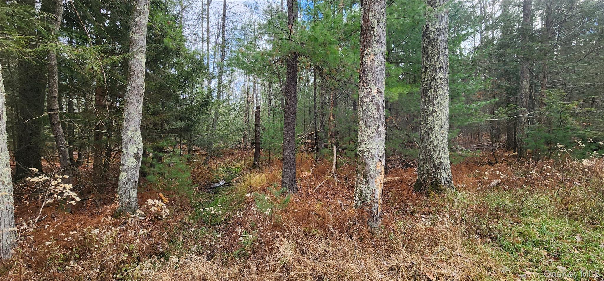 00 Mongaup Road – For Sale photo 5