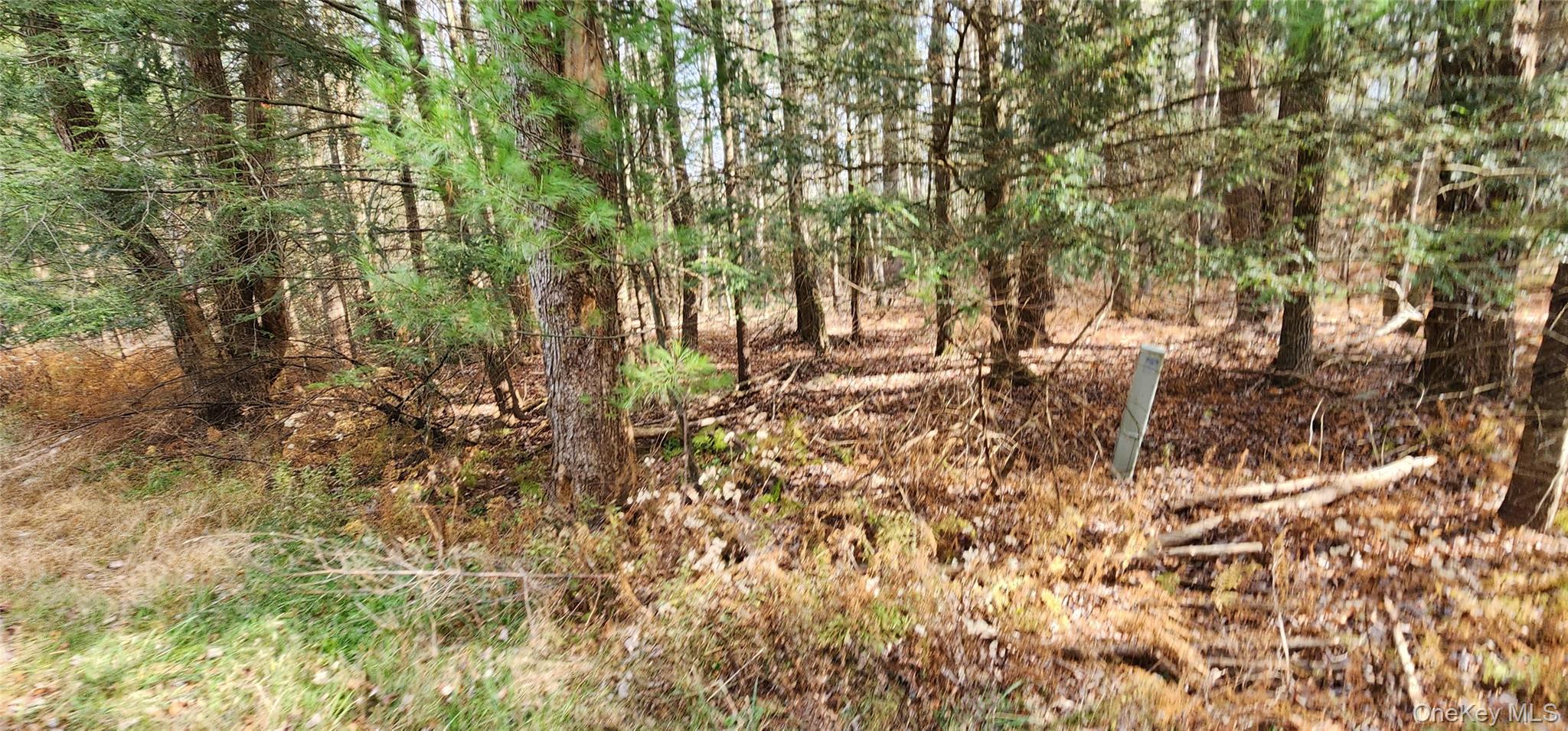 00 Mongaup Road – For Sale photo 2
