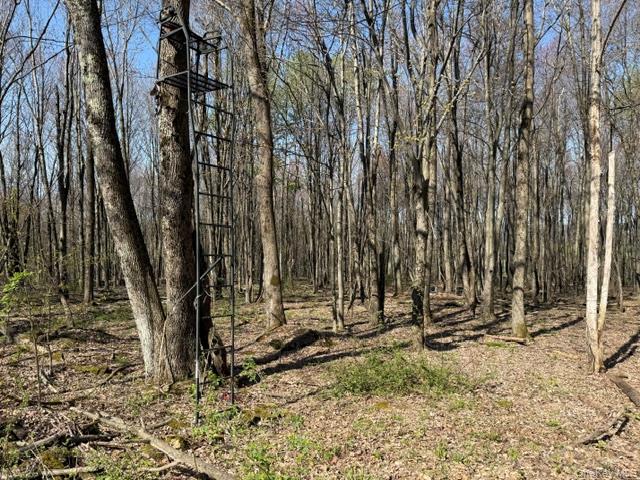 chaffee rd – For Sale photo 4