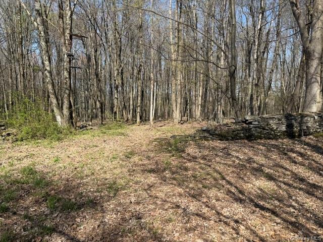 chaffee rd – For Sale photo 3