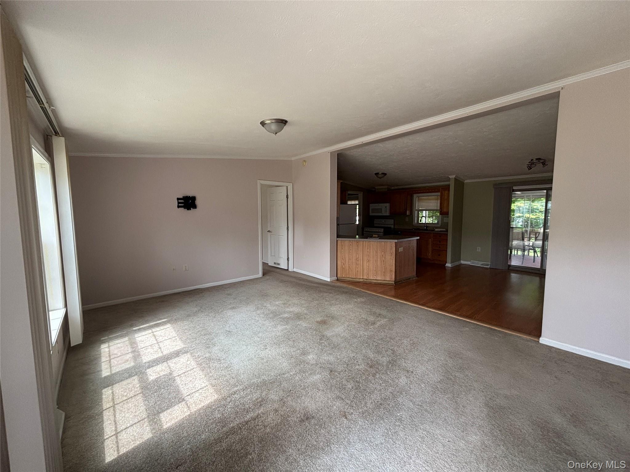 1661 Old Country Road, Unit 417 photo 12