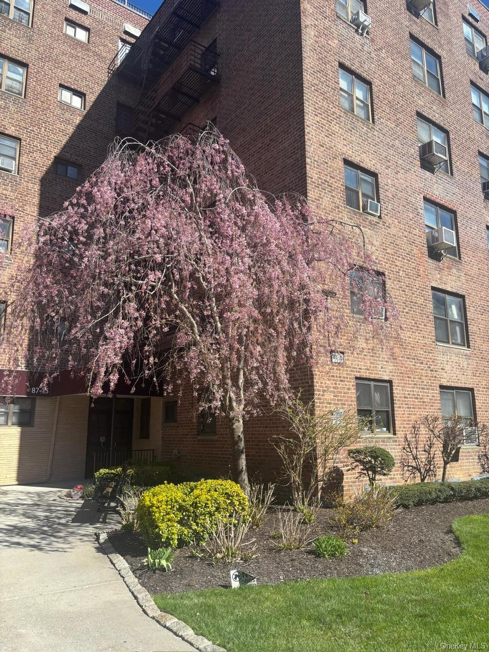 87-19 204th Street, Unit A68 photo 2