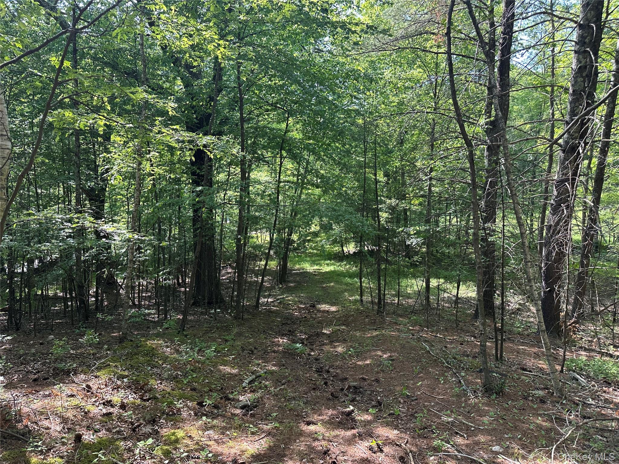 804 Hearts Content Road – For Sale photo 30