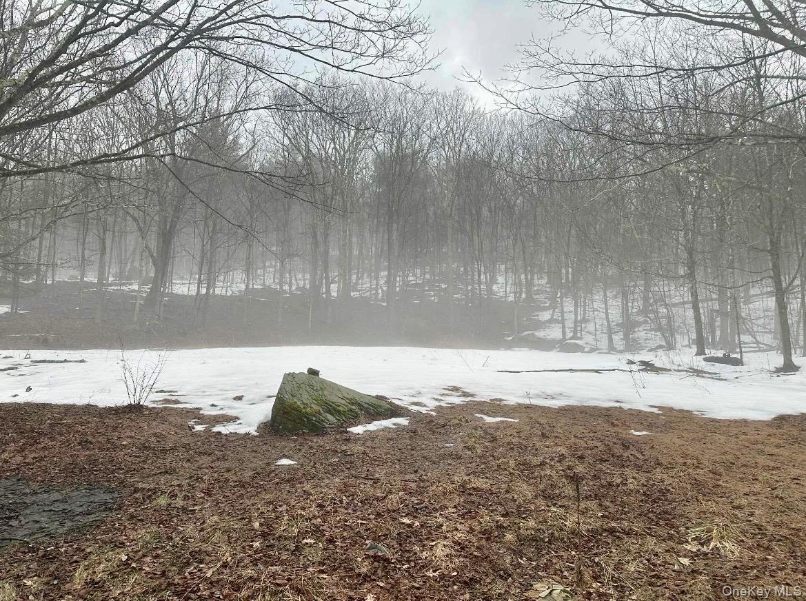 804 Hearts Content Road – For Sale