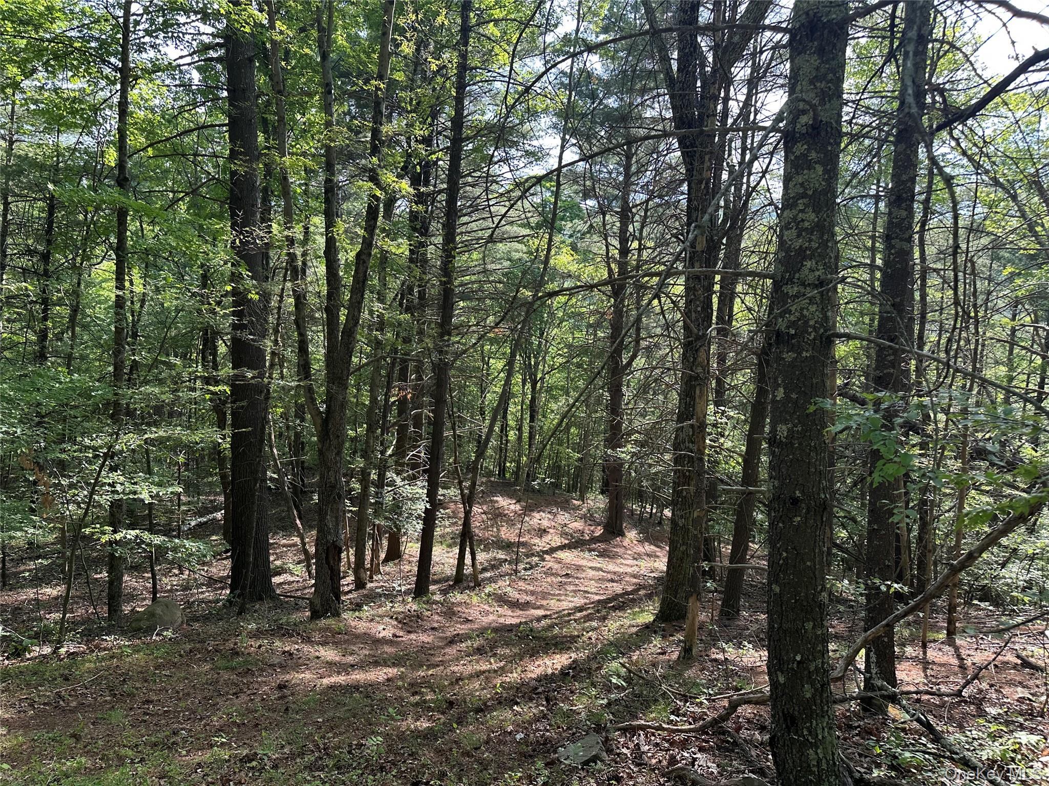 804 Hearts Content Road – For Sale photo 29