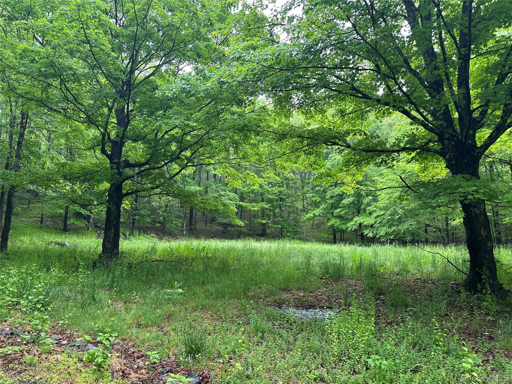 804 Hearts Content Road – For Sale photo 6