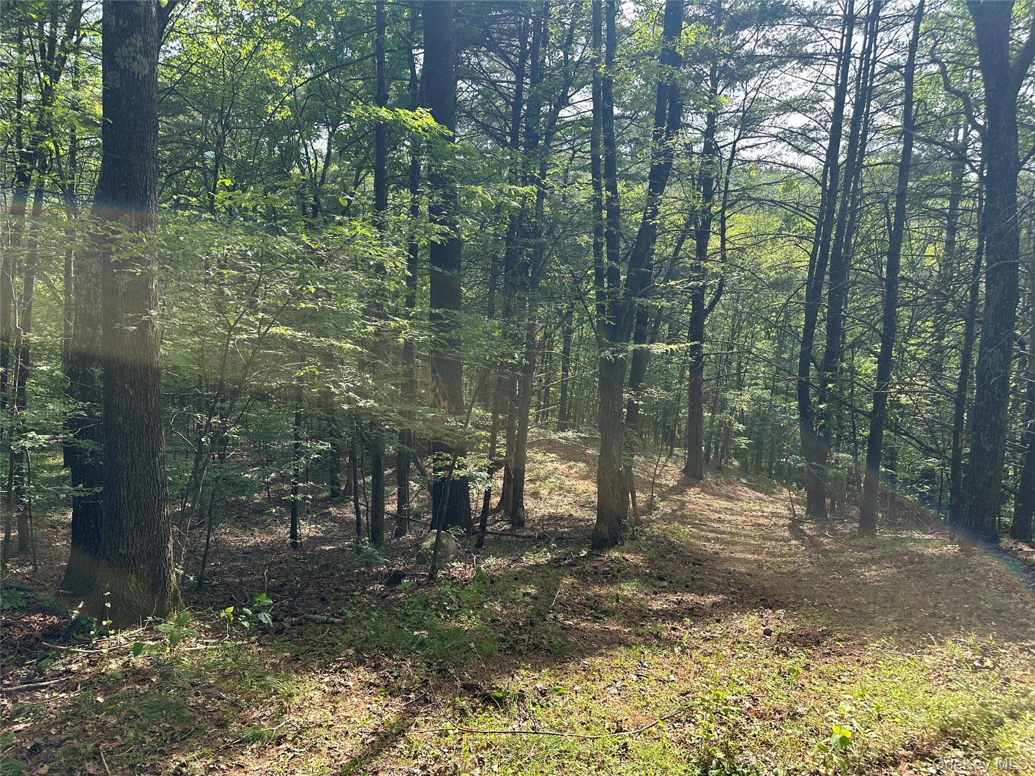 804 Hearts Content Road – For Sale photo 18