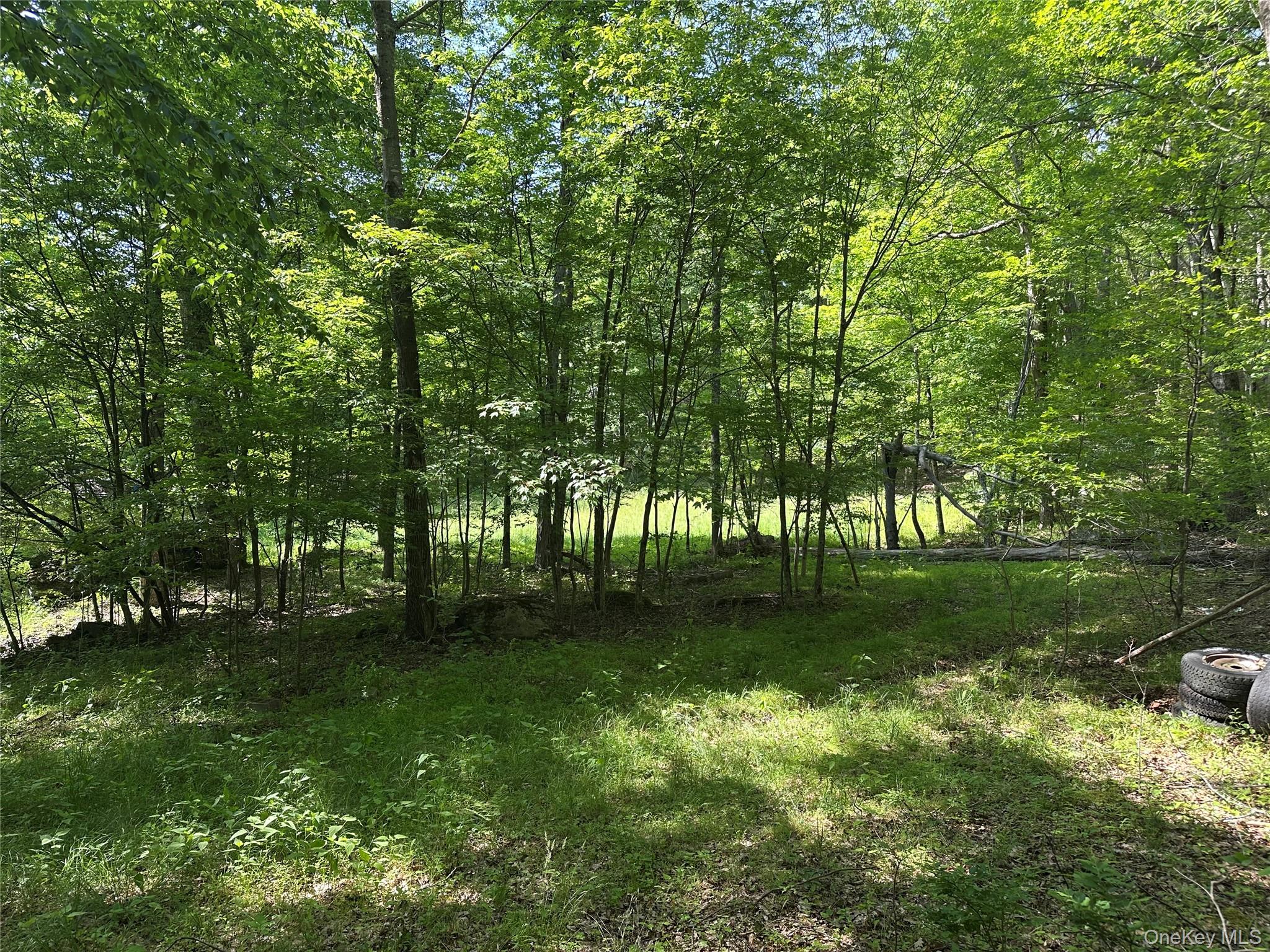 804 Hearts Content Road – For Sale photo 31