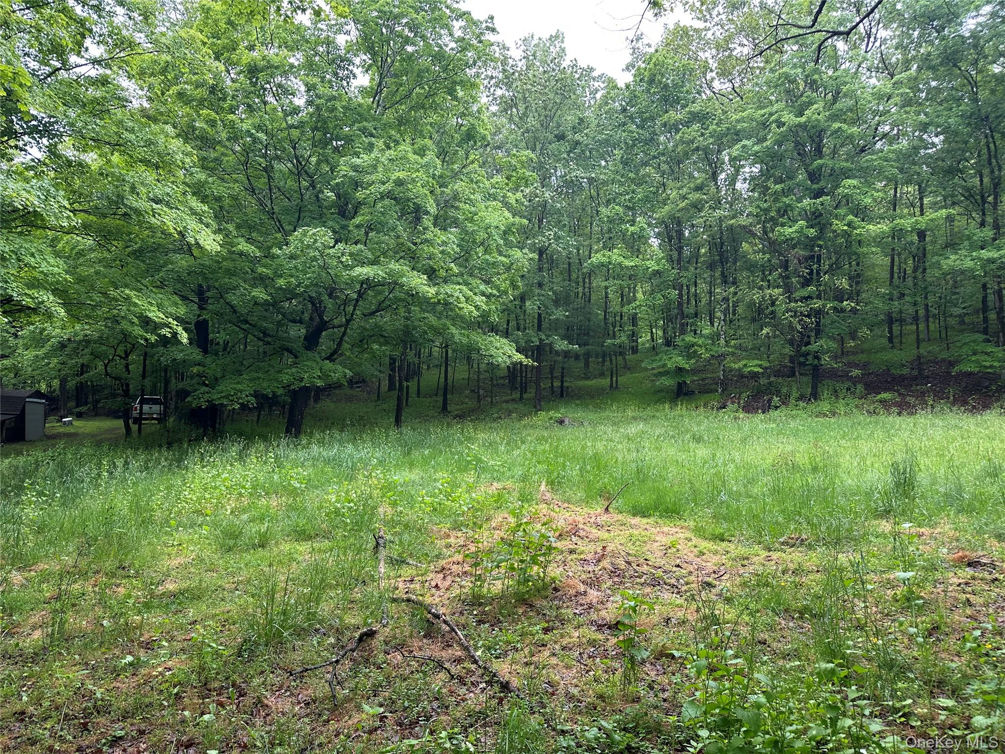 804 Hearts Content Road – For Sale photo 8