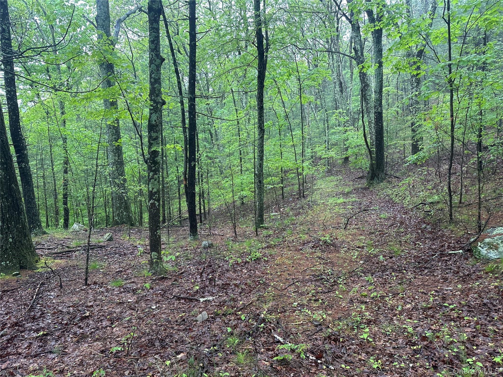804 Hearts Content Road – For Sale photo 16