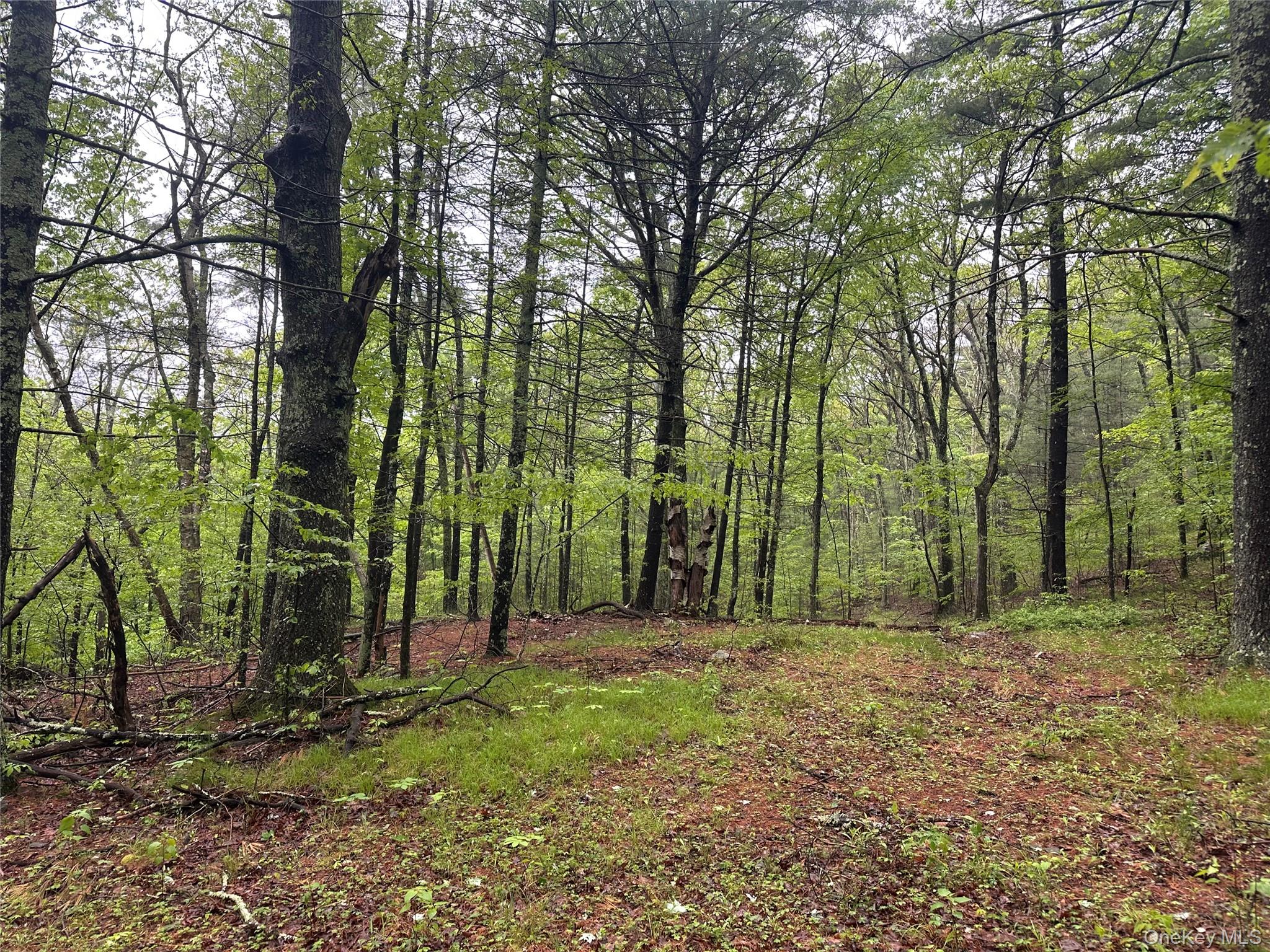 804 Hearts Content Road – For Sale photo 11