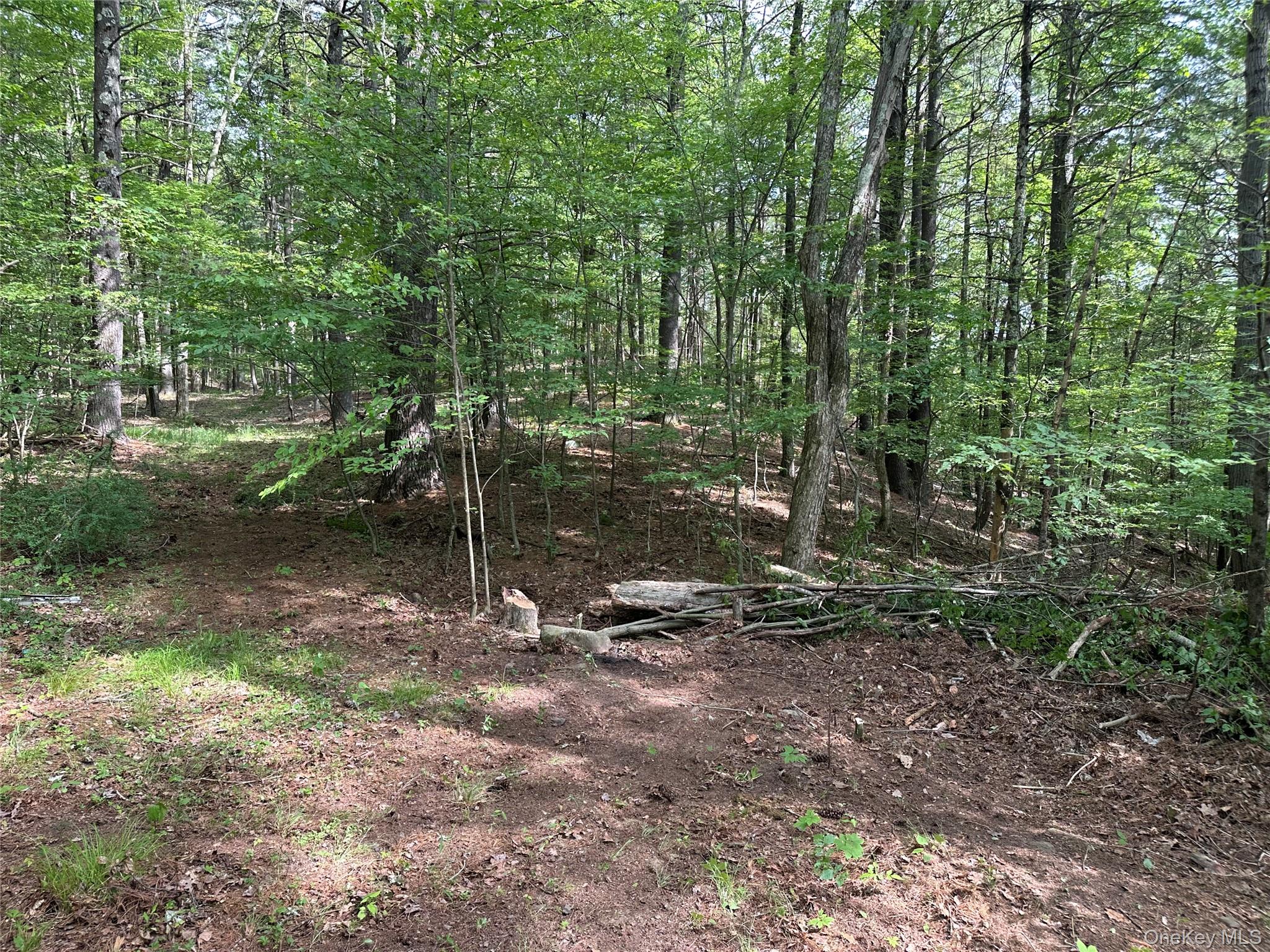 804 Hearts Content Road – For Sale photo 19
