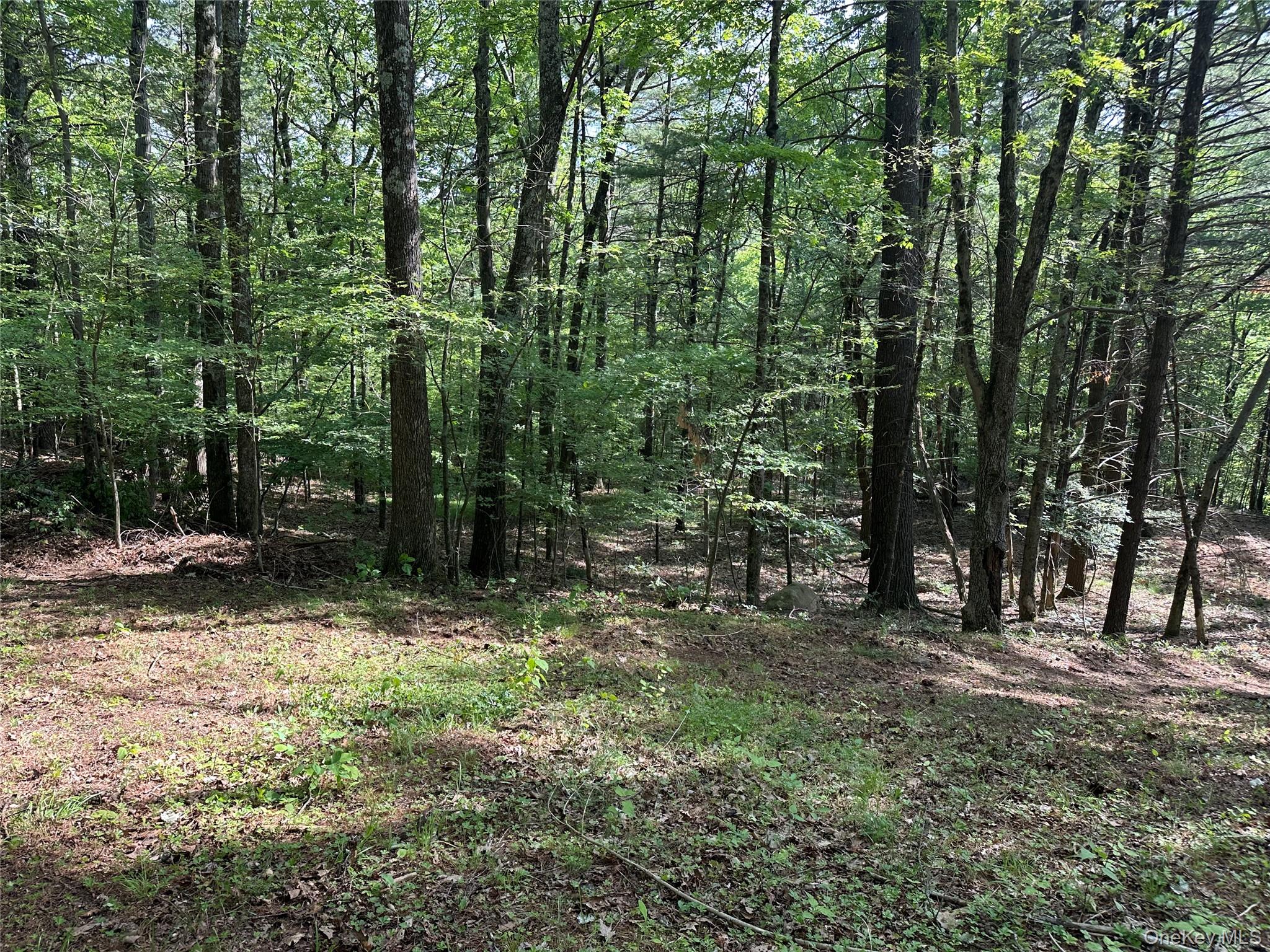 804 Hearts Content Road – For Sale photo 27