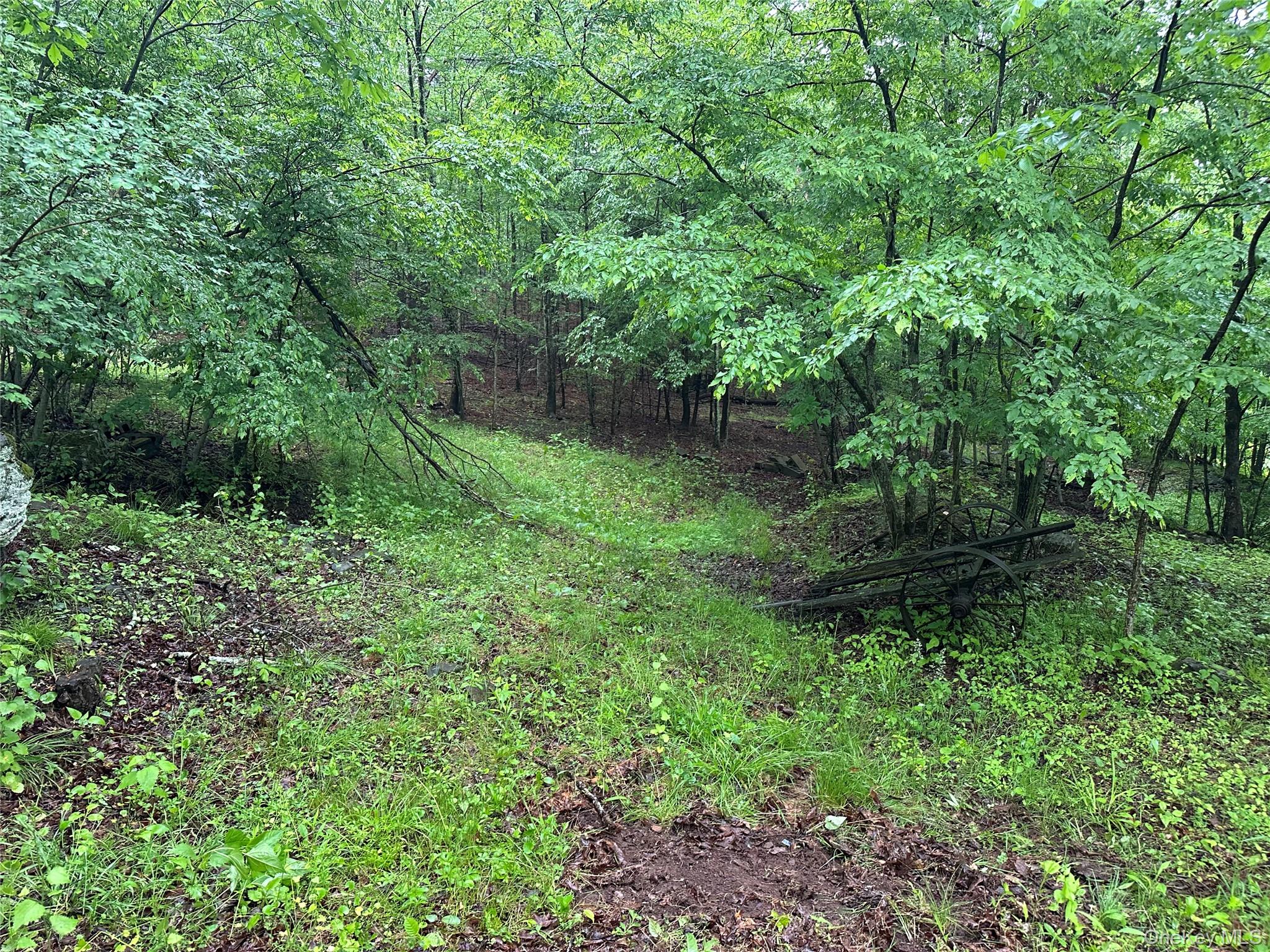 804 Hearts Content Road – For Sale photo 10