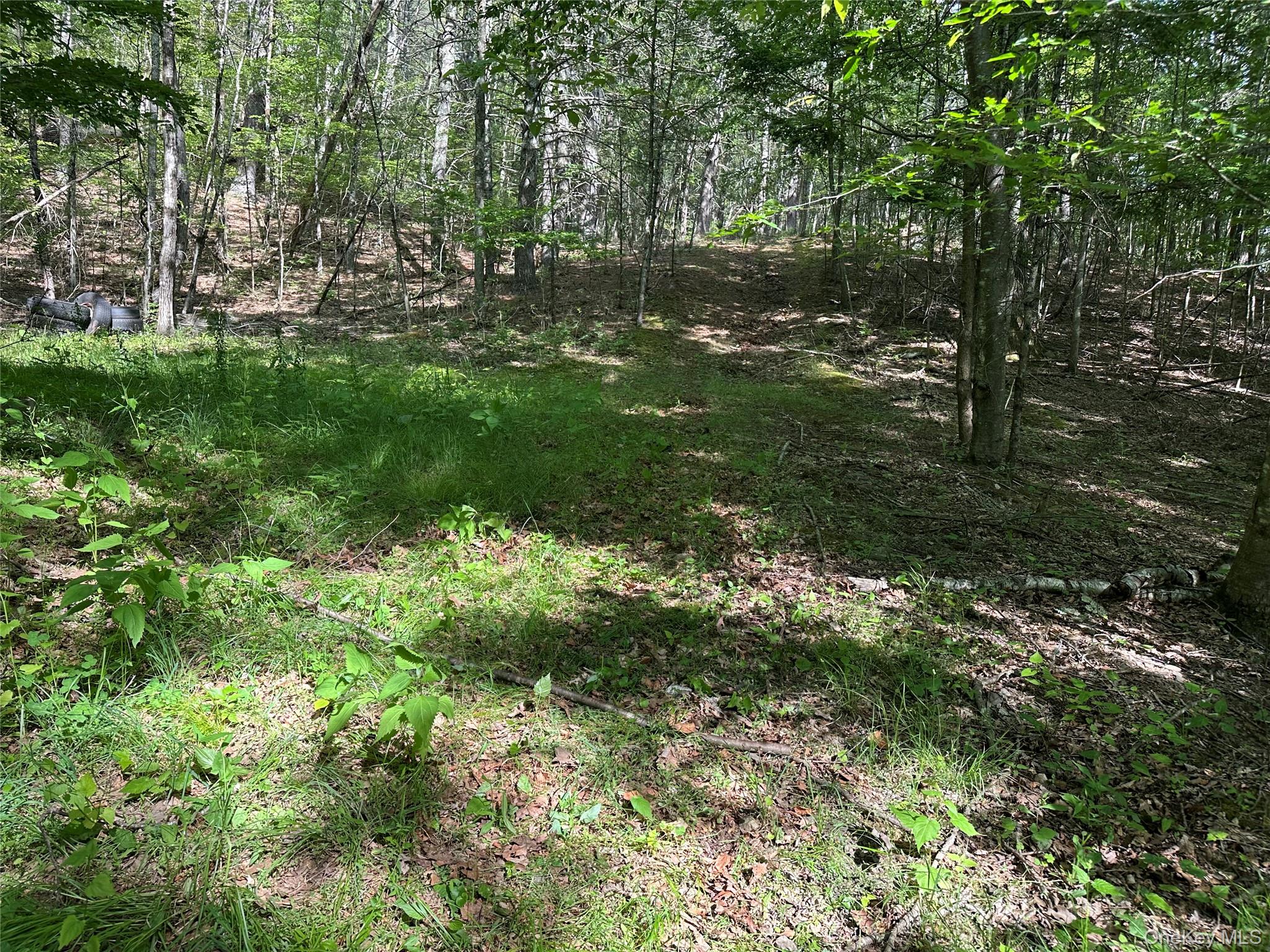 804 Hearts Content Road – For Sale photo 33