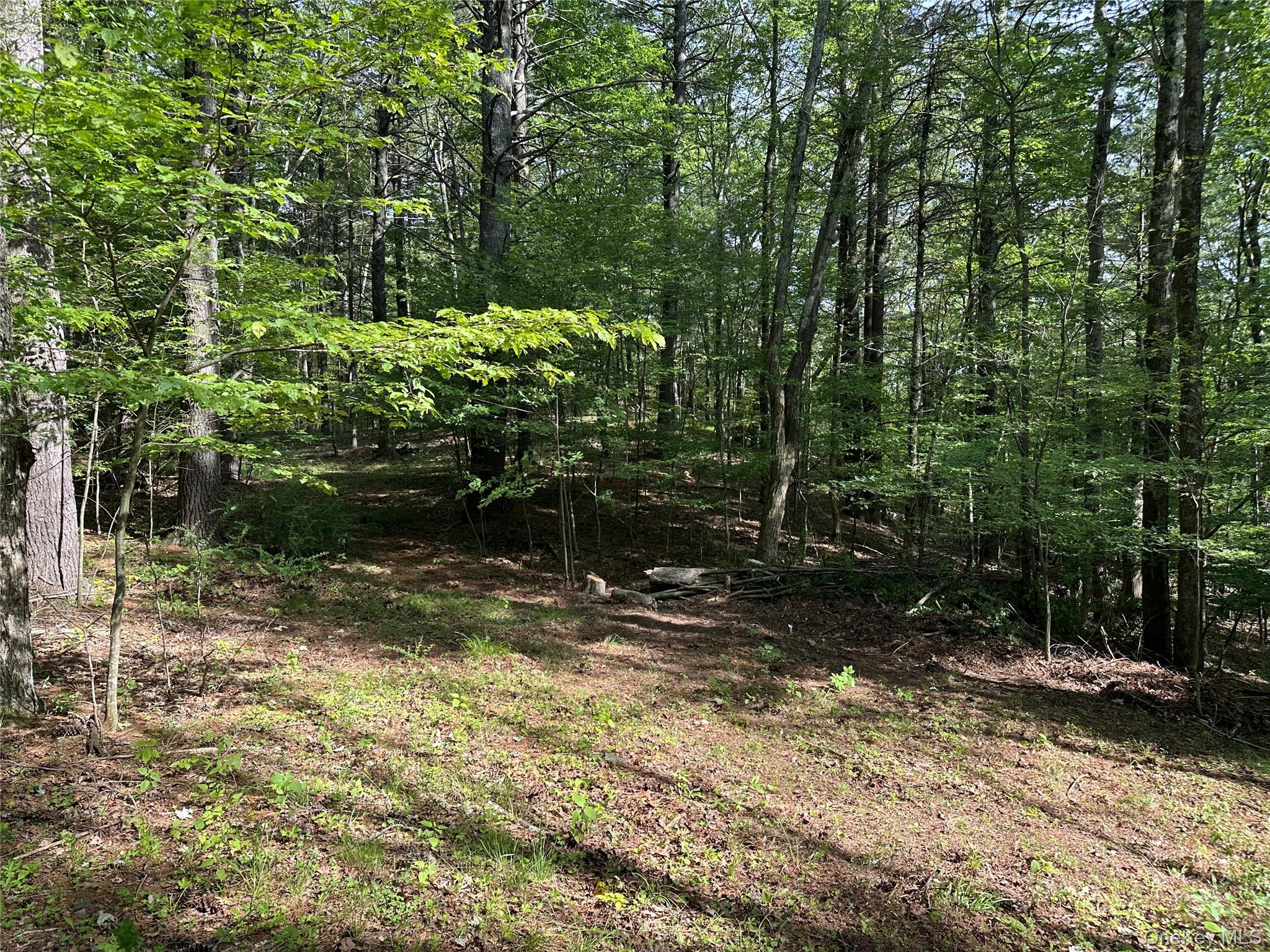 804 Hearts Content Road – For Sale photo 26
