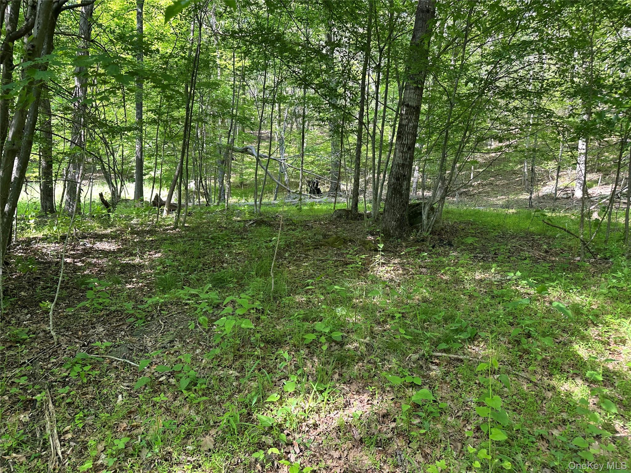 804 Hearts Content Road – For Sale photo 34