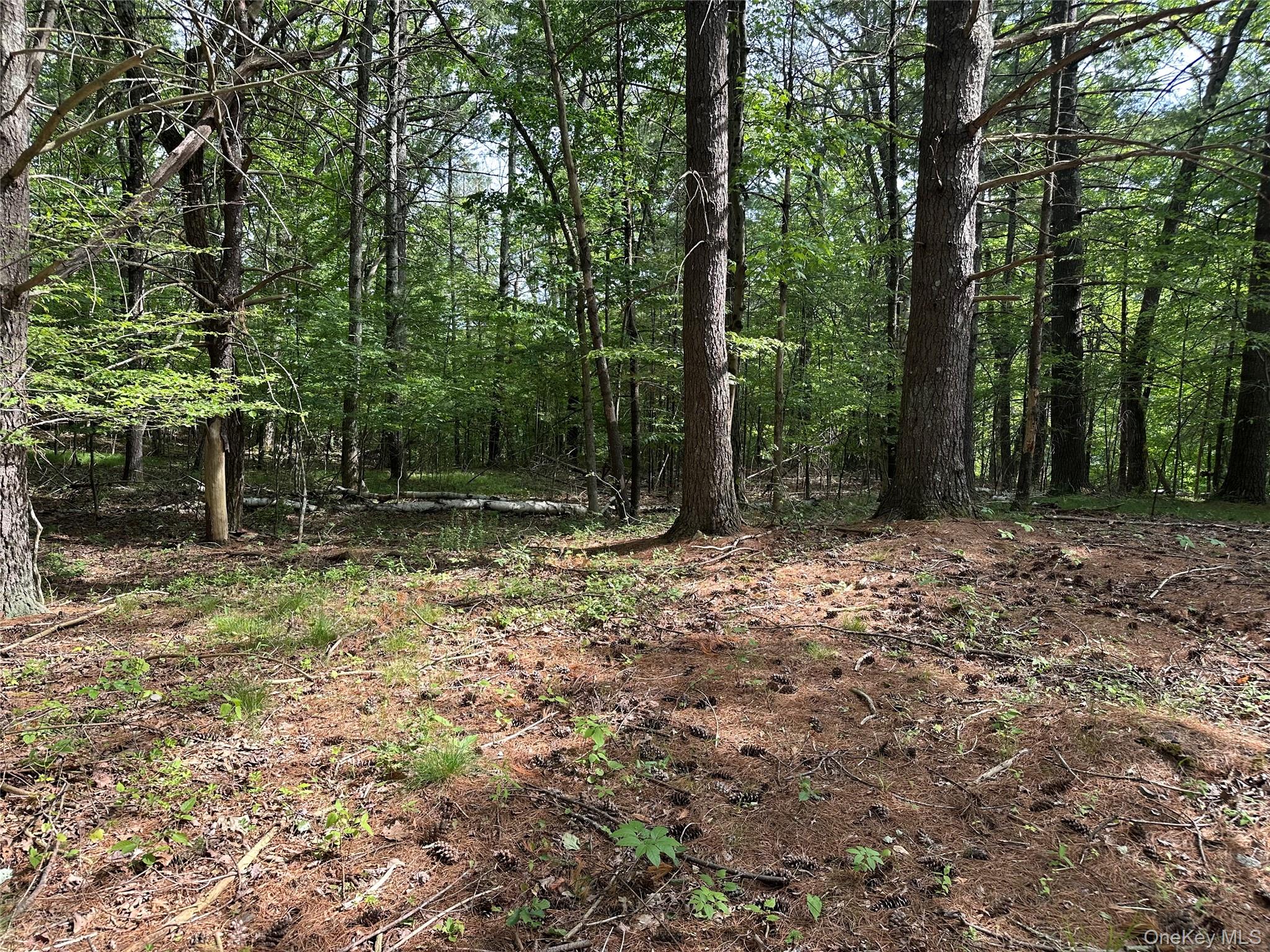 804 Hearts Content Road – For Sale photo 23