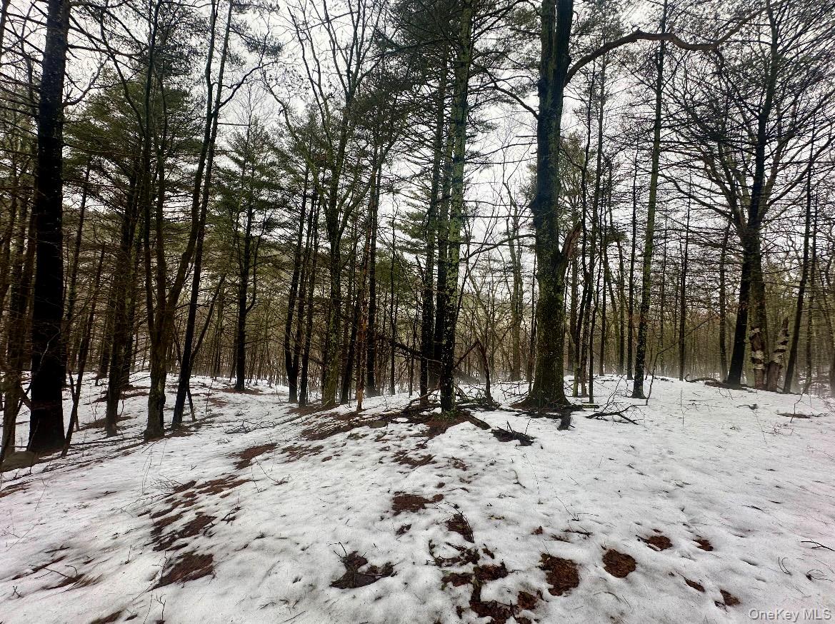 804 Hearts Content Road – For Sale photo 9