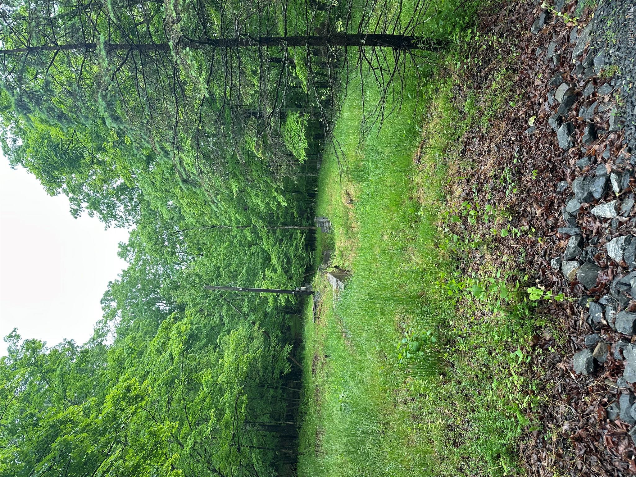 804 Hearts Content Road – For Sale photo 5