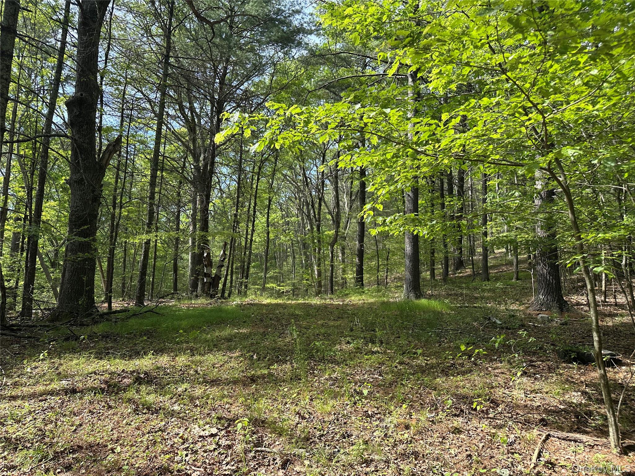 804 Hearts Content Road – For Sale photo 20