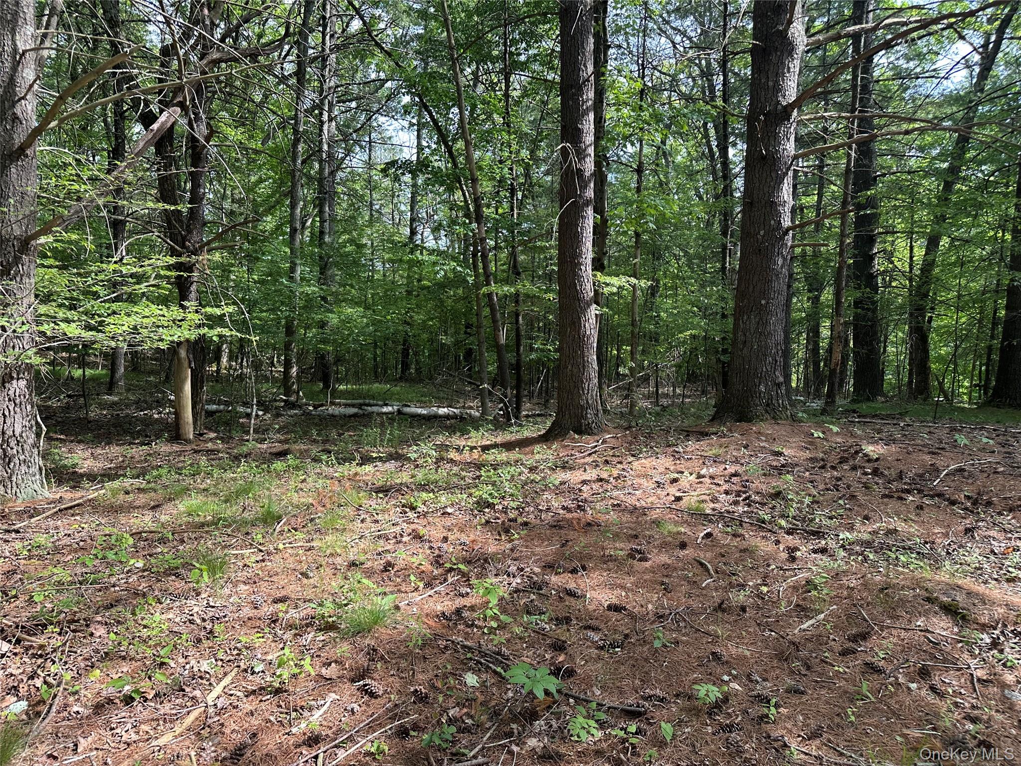 804 Hearts Content Road – For Sale photo 24