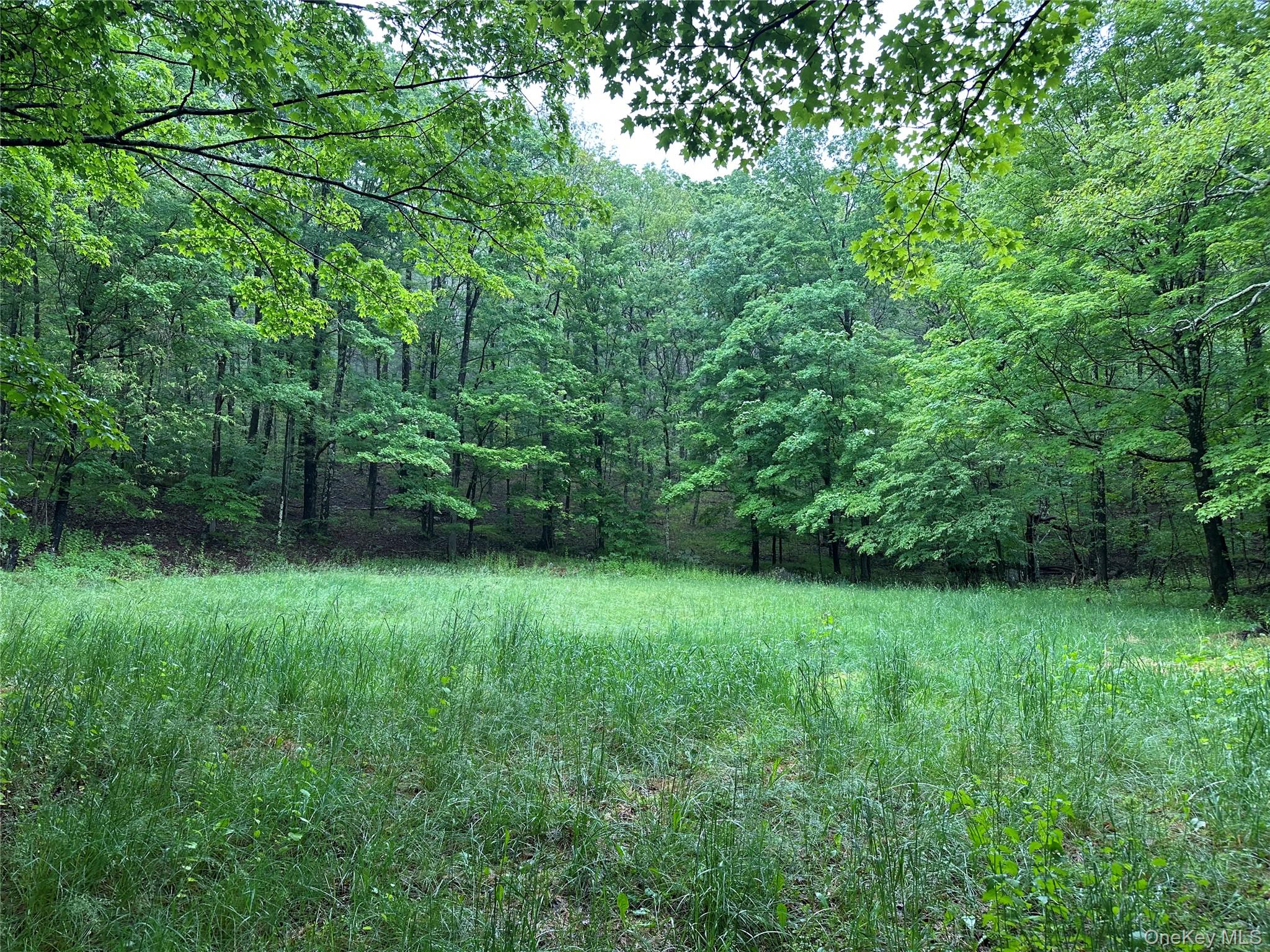 804 Hearts Content Road – For Sale photo 7