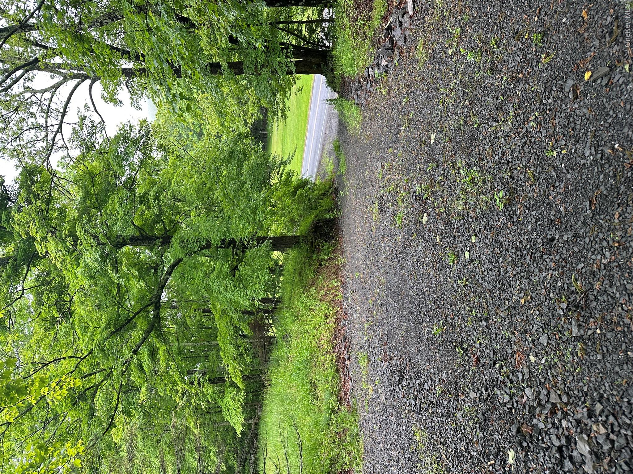 804 Hearts Content Road – For Sale photo 3