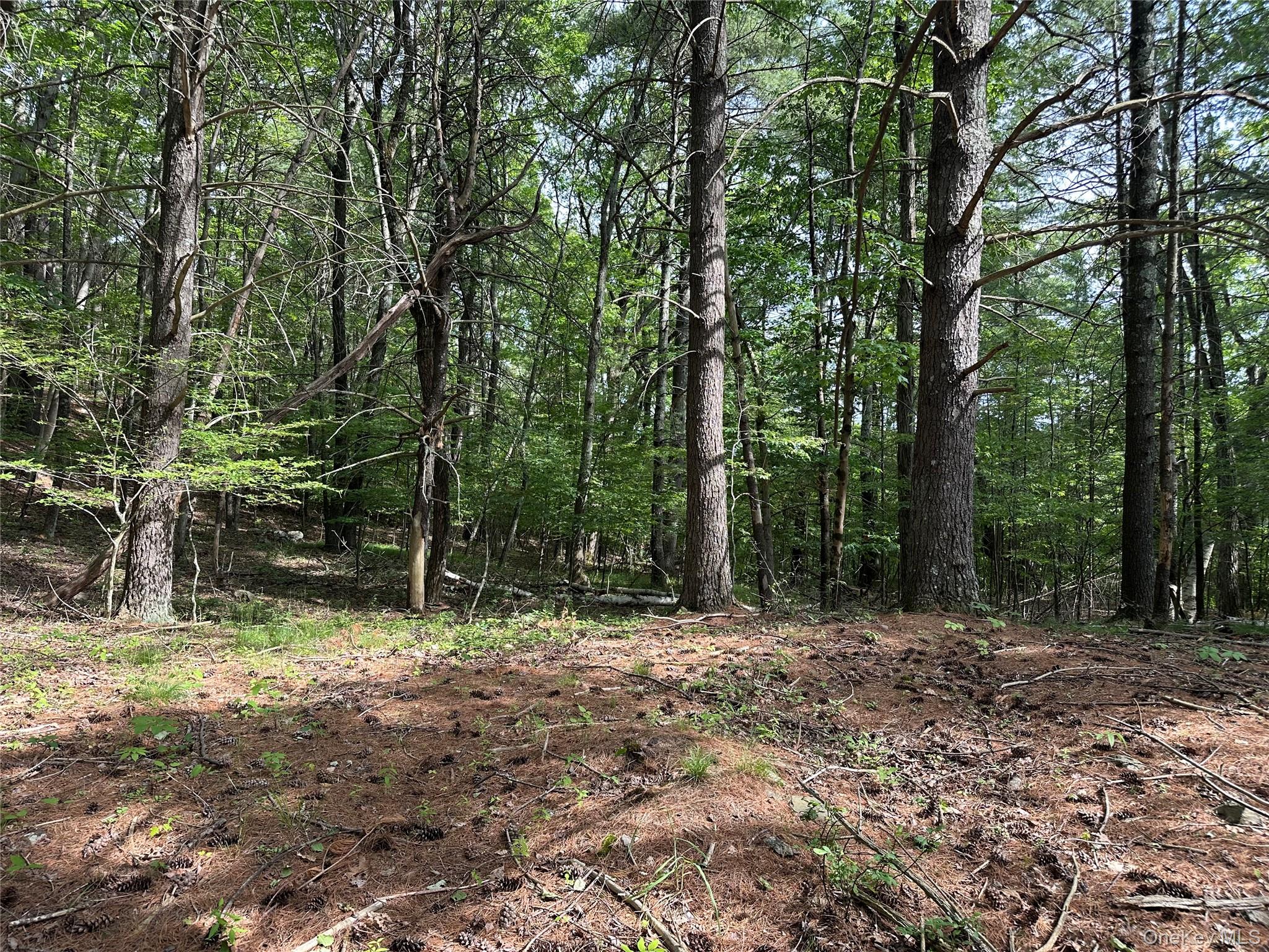 804 Hearts Content Road – For Sale photo 22
