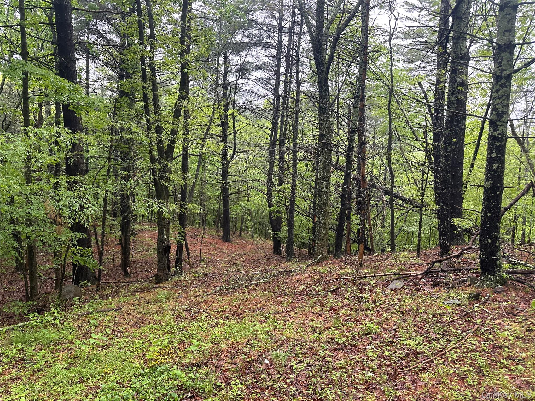 804 Hearts Content Road – For Sale photo 13
