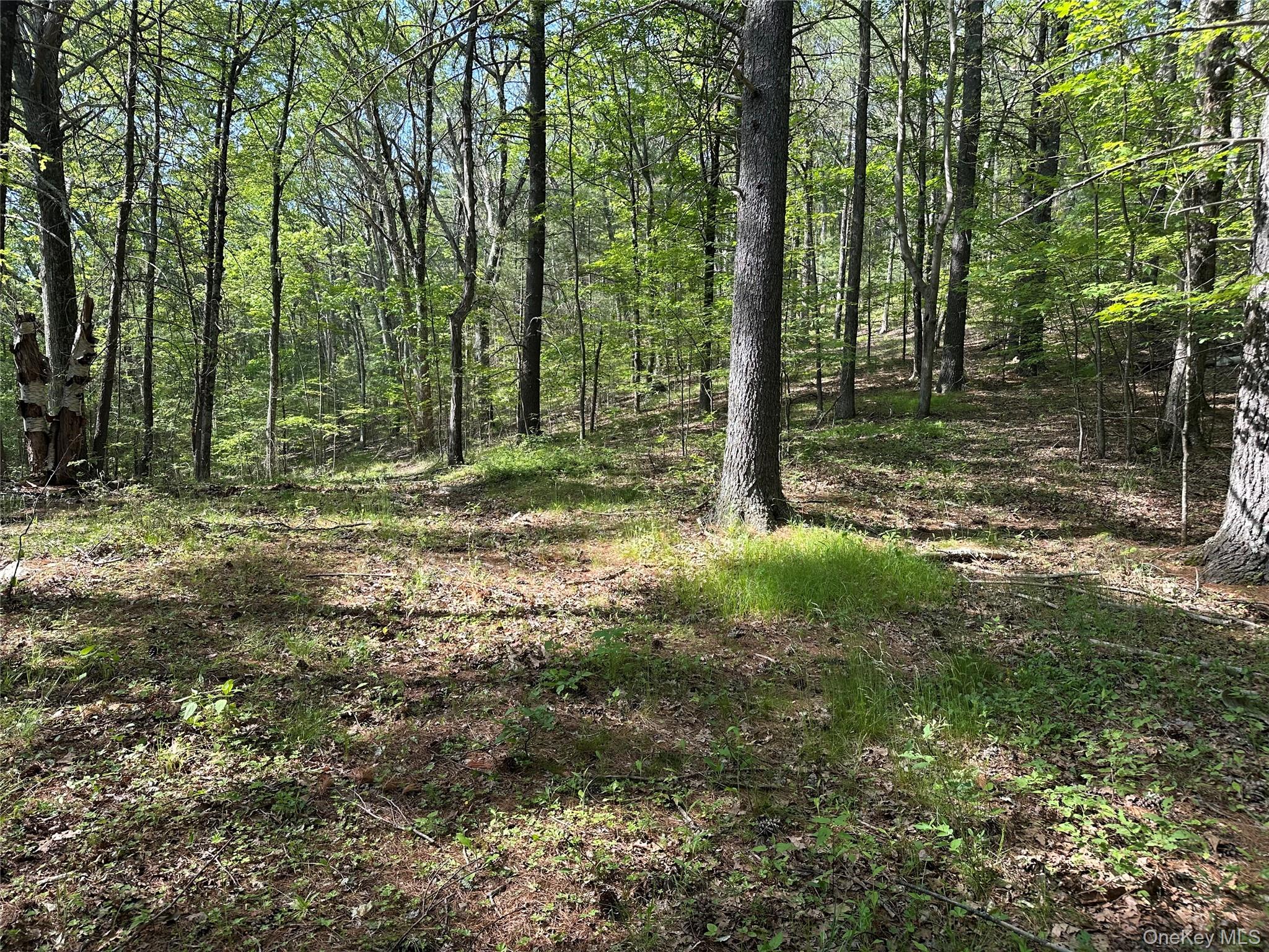 804 Hearts Content Road – For Sale photo 25