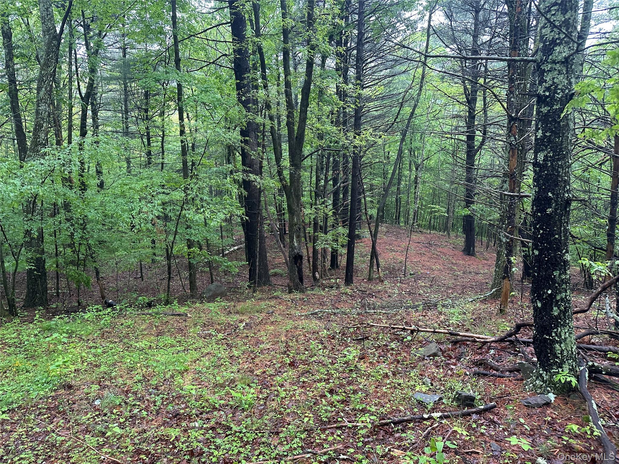 804 Hearts Content Road – For Sale photo 14